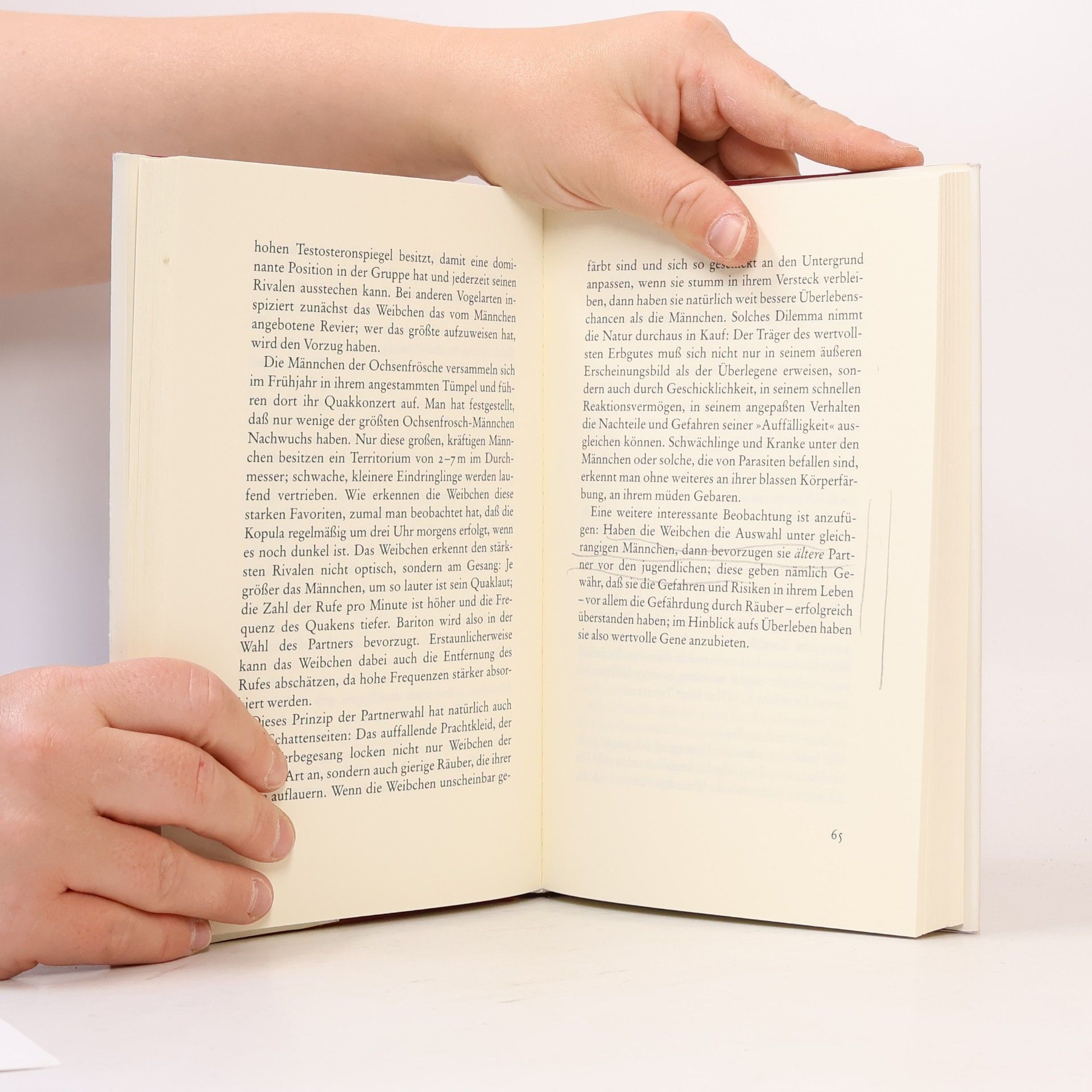 Martin Lindauer Auf den Spuren des Uneigennützigen