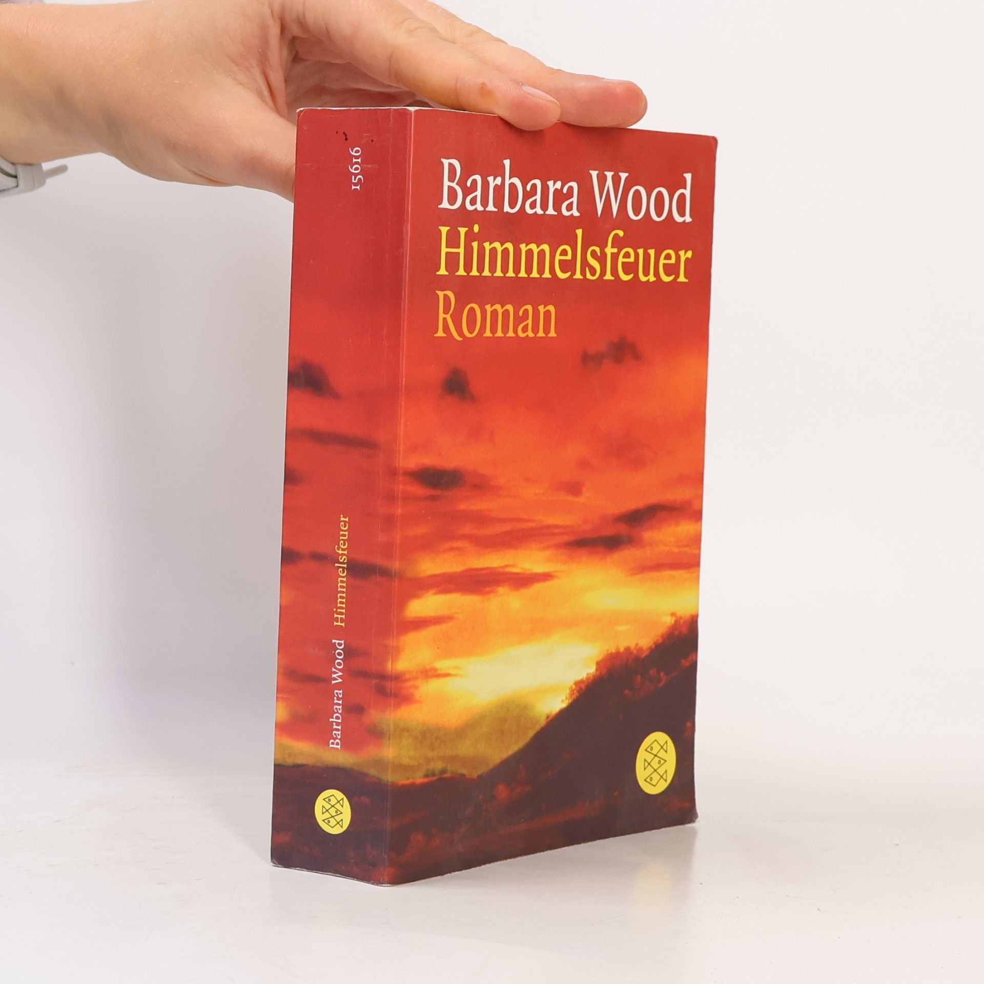 Barbara Wood Himmelsfeuer