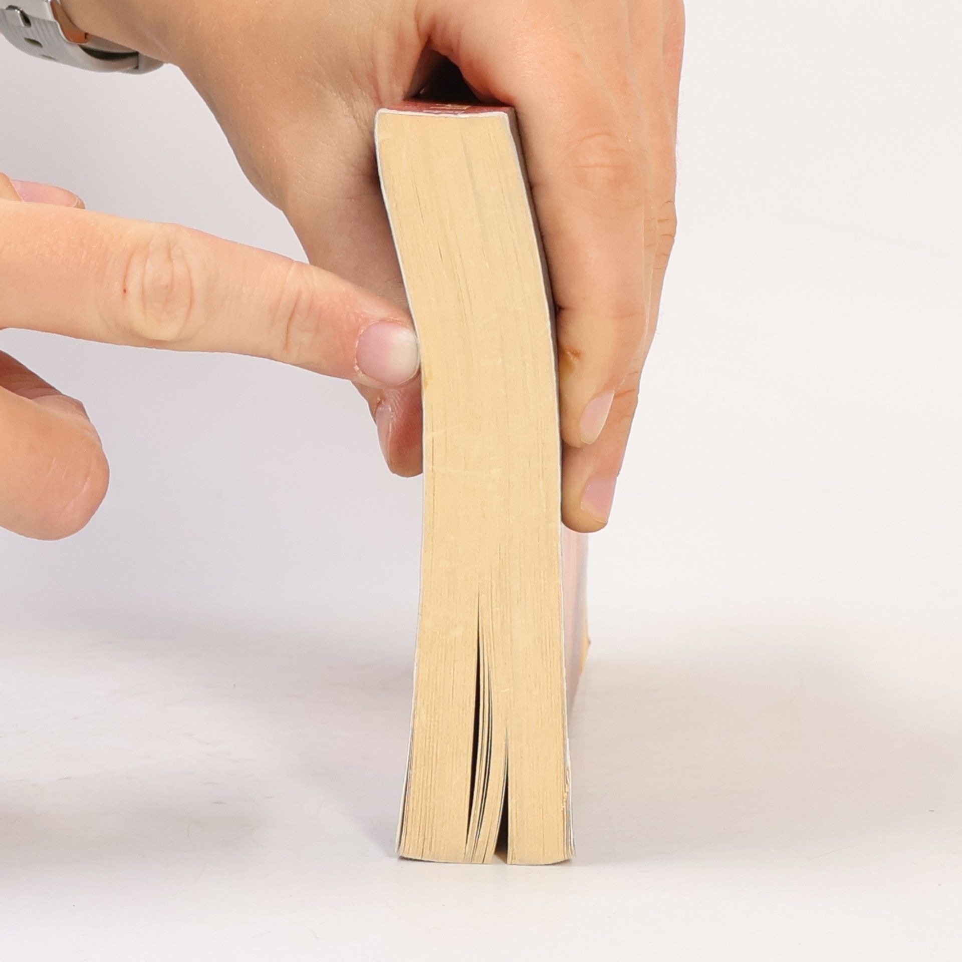 Barbara Wood Der Fluch der Schriftrollen