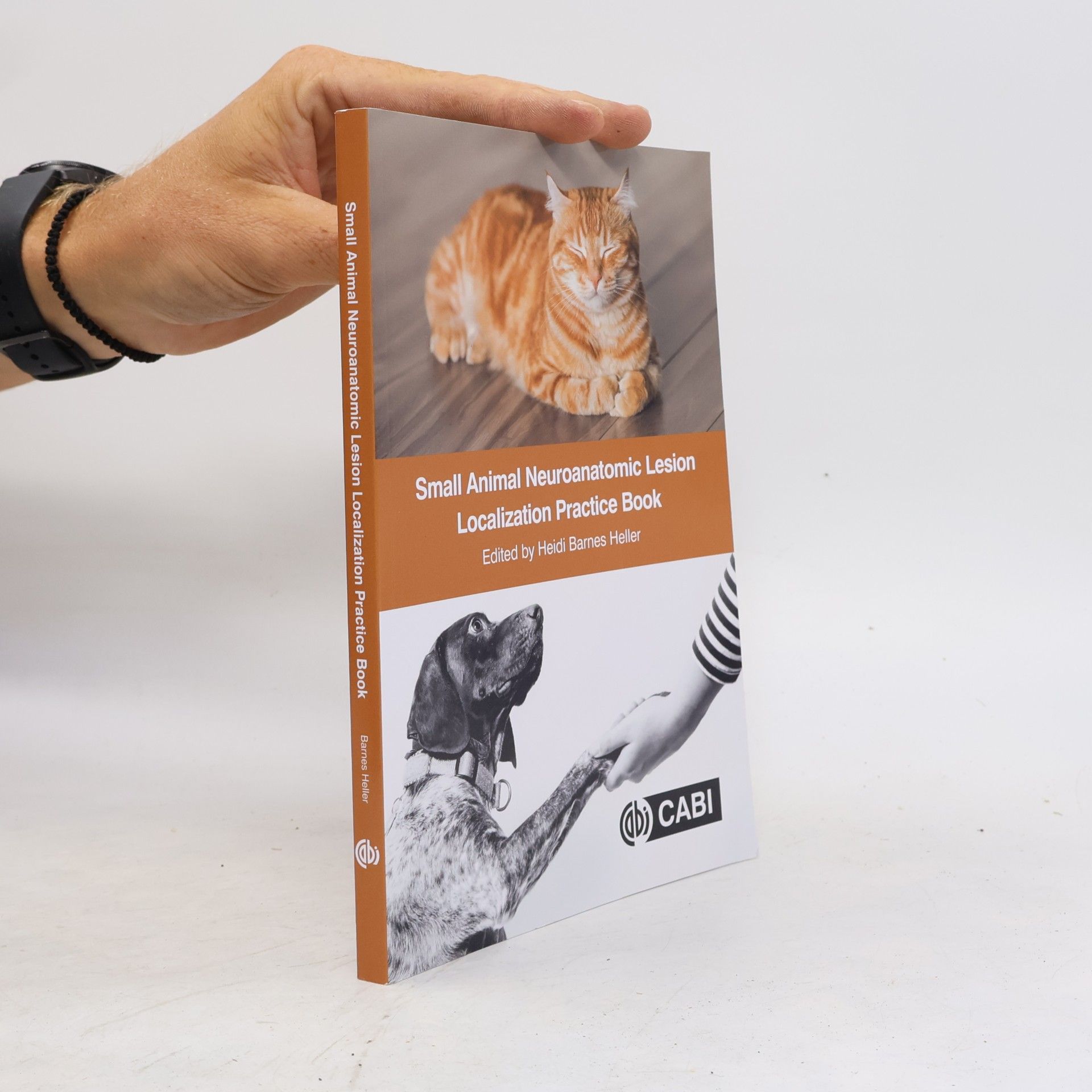 Heidi Barnes Heller Small Animal Neuroanatomic Lesion Localization Practice Book