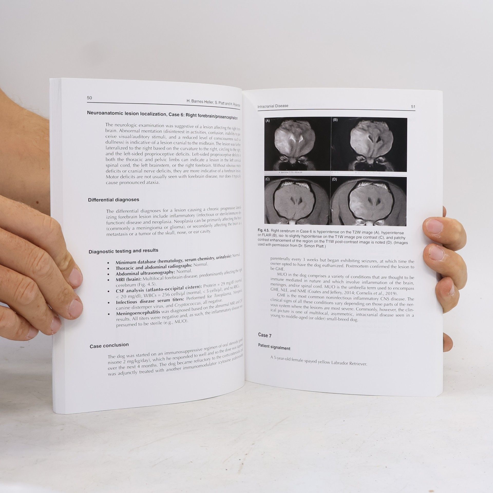 Heidi Barnes Heller Small Animal Neuroanatomic Lesion Localization Practice Book