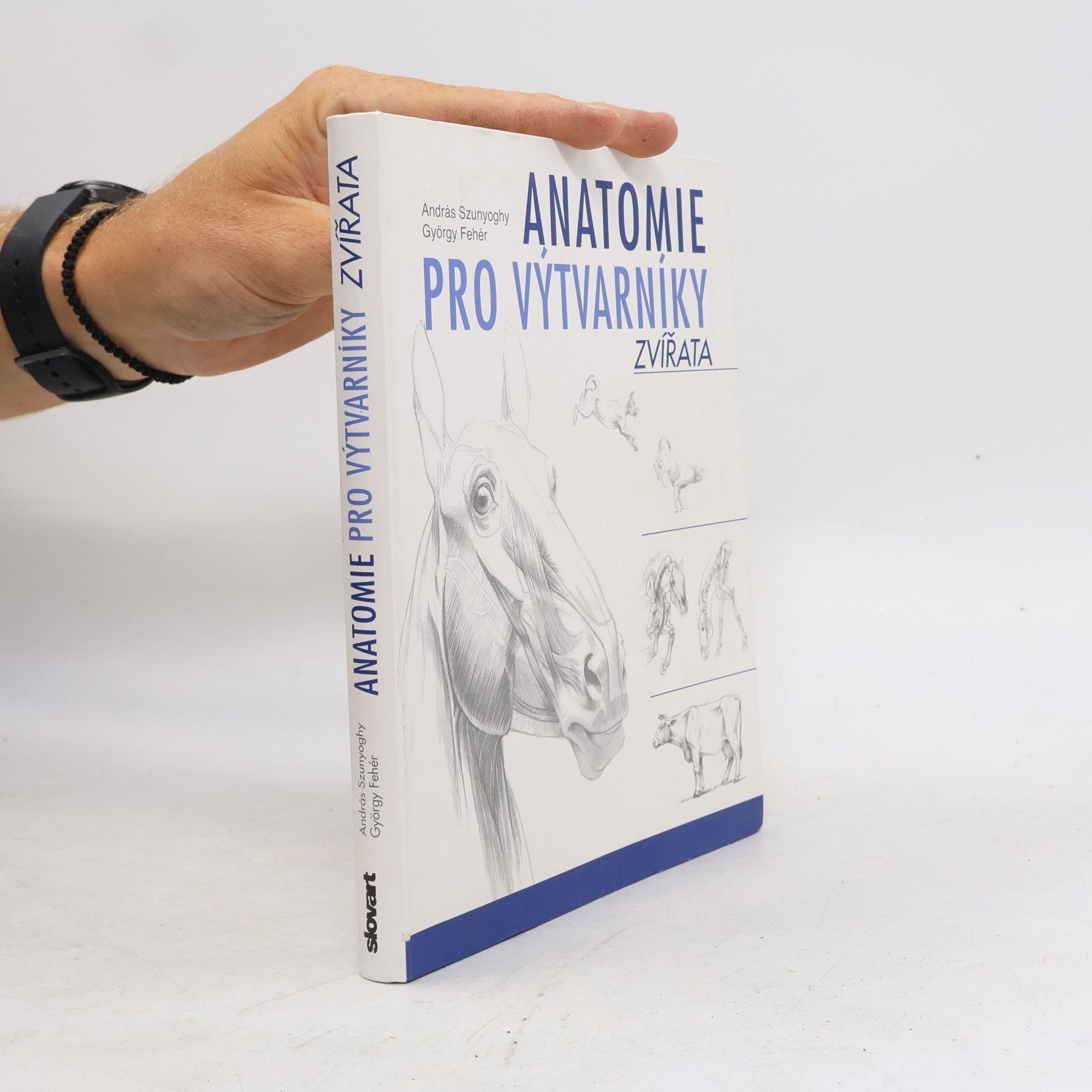 György Fehér Anatomie pro výtvarníky - Zvířata