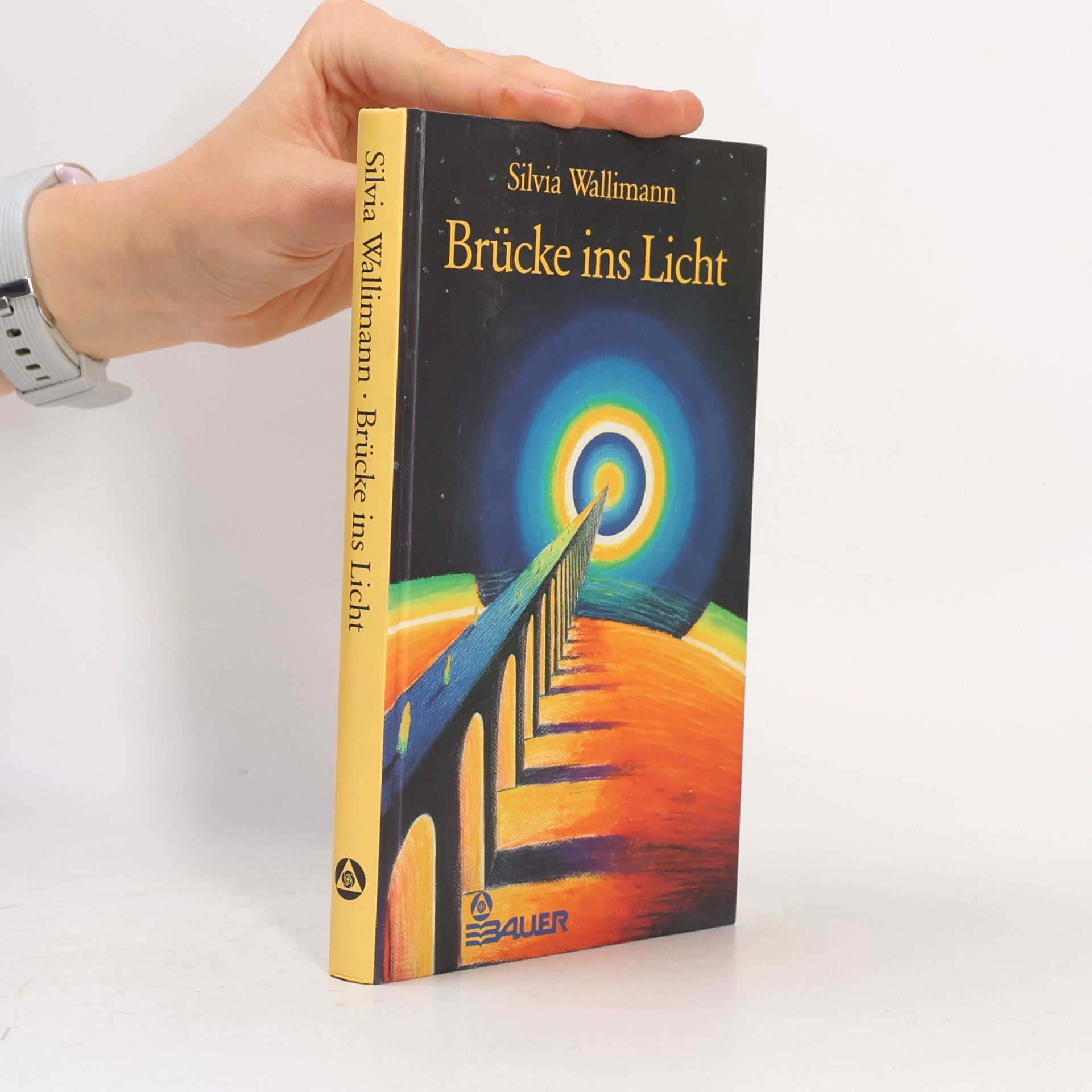 Silvia Wallimann Brücke ins Licht