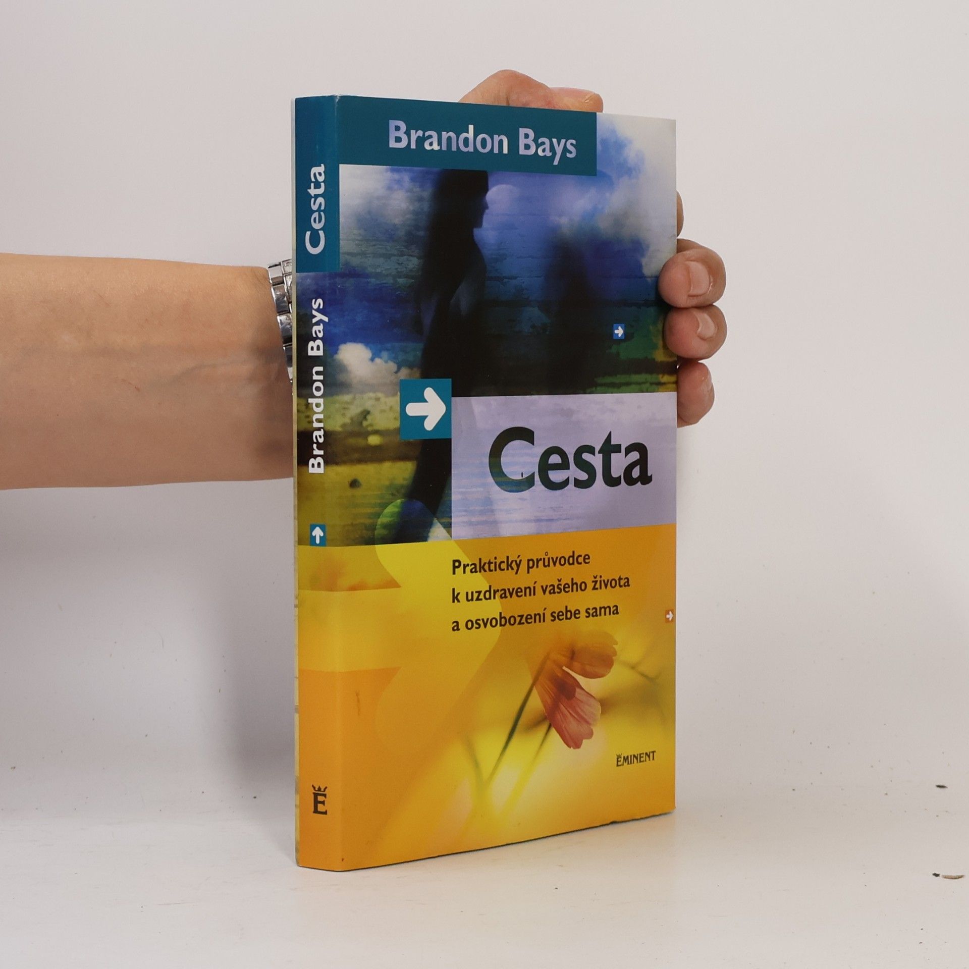 Cesta