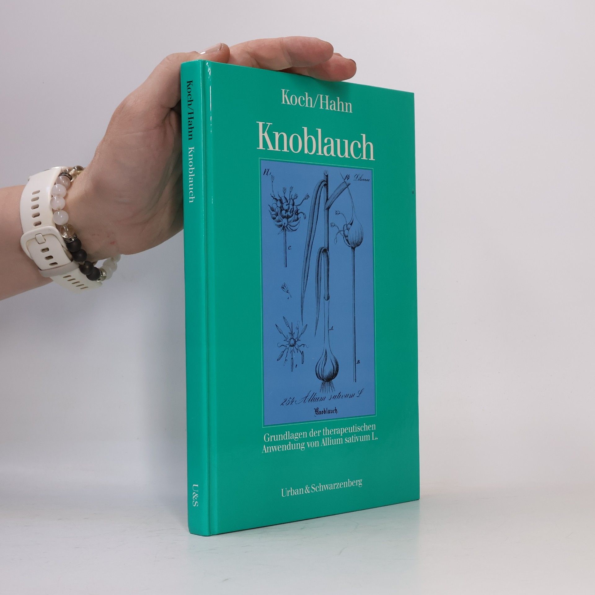 Heinrich P. Koch Knoblauch