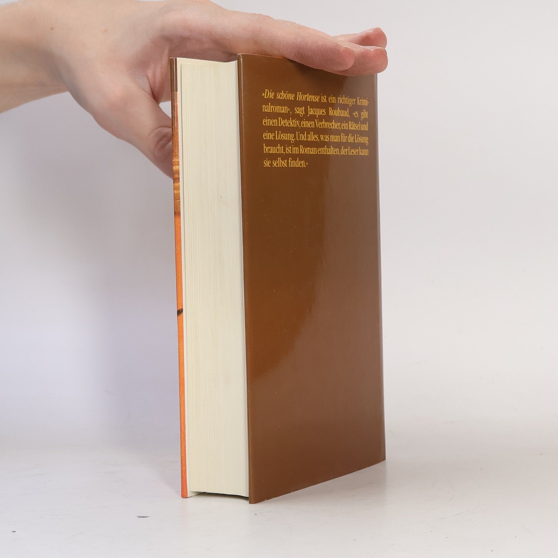 Jacques Roubaud Die schöne Hortense