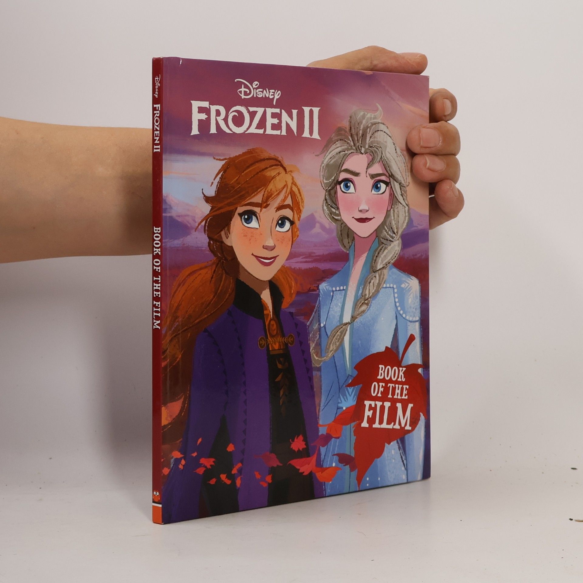 Autorenkollektiv Frozen II