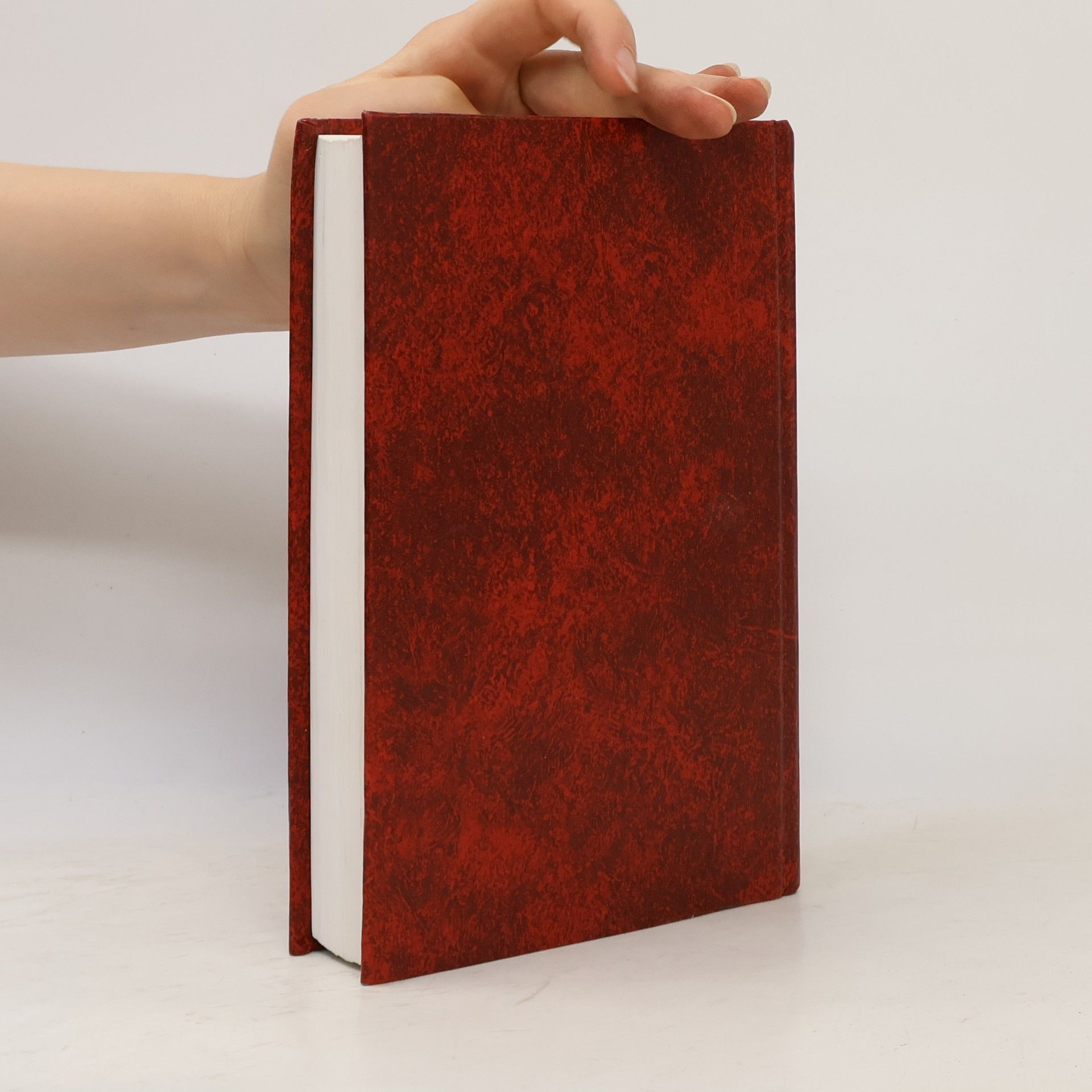 Collectif d'auteurs The Holy Bible