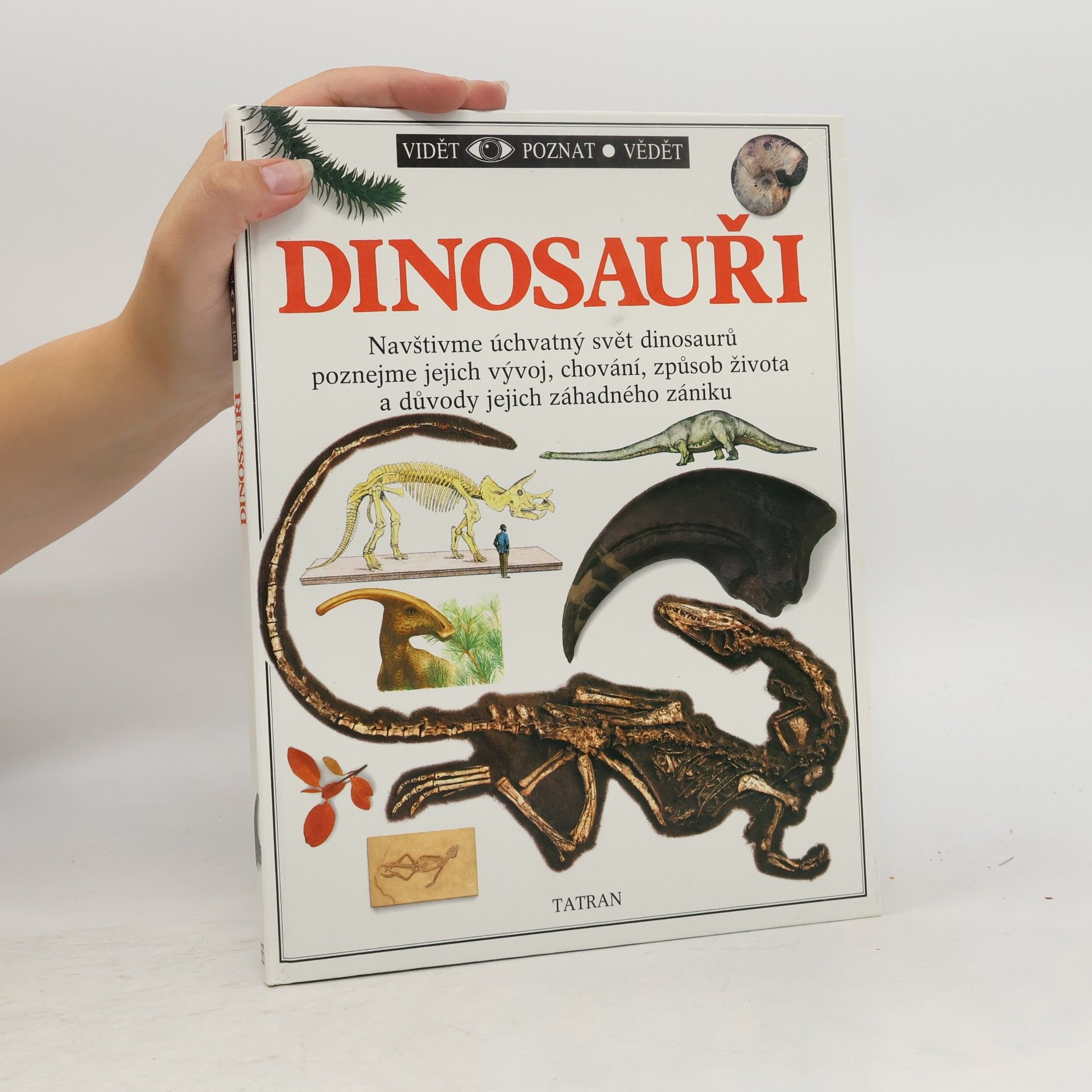 Kolektiv autorů Dinosauři