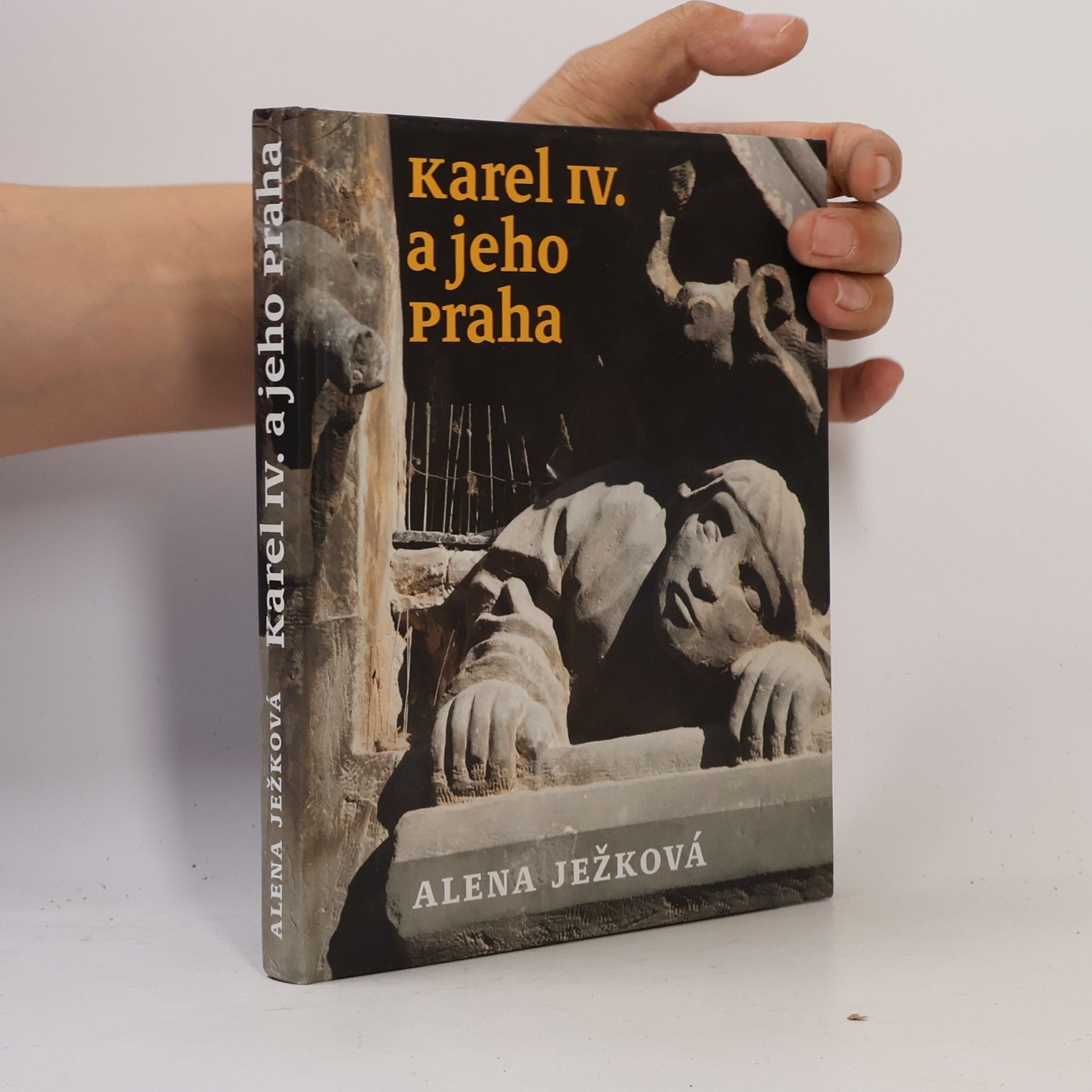 Jiří Chalupa Karel IV. a jeho Praha