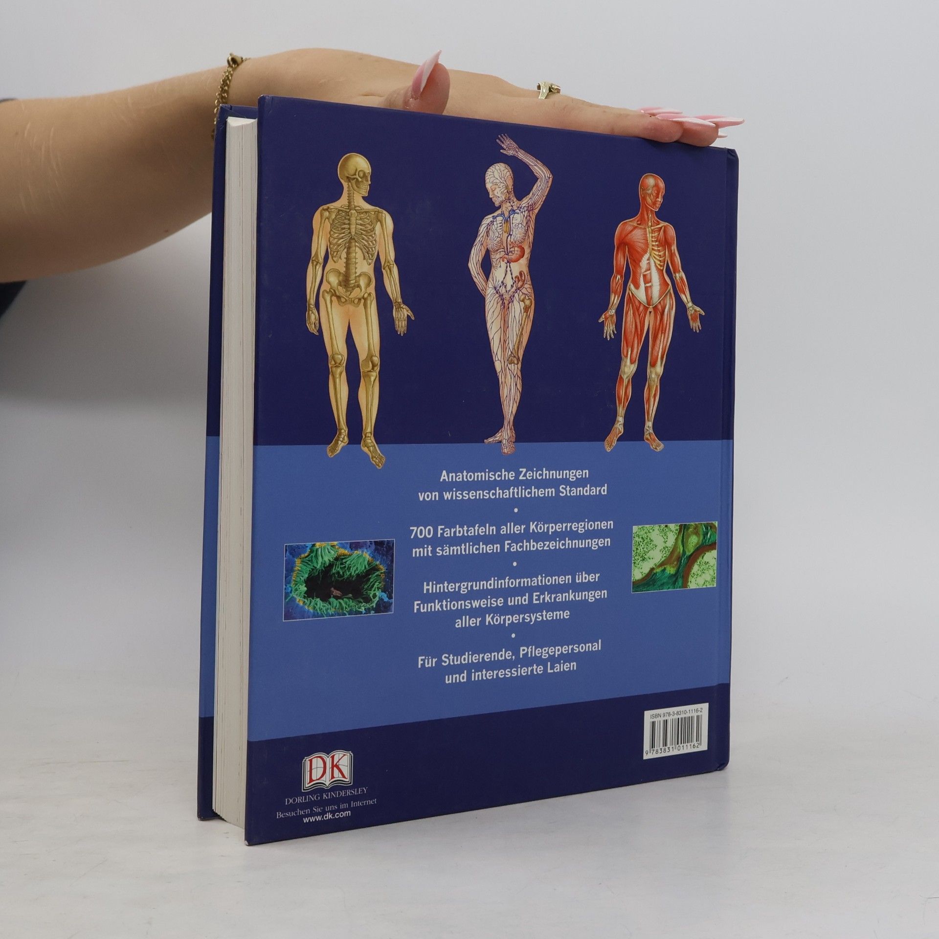 Tony Smith Anatomie-Atlas