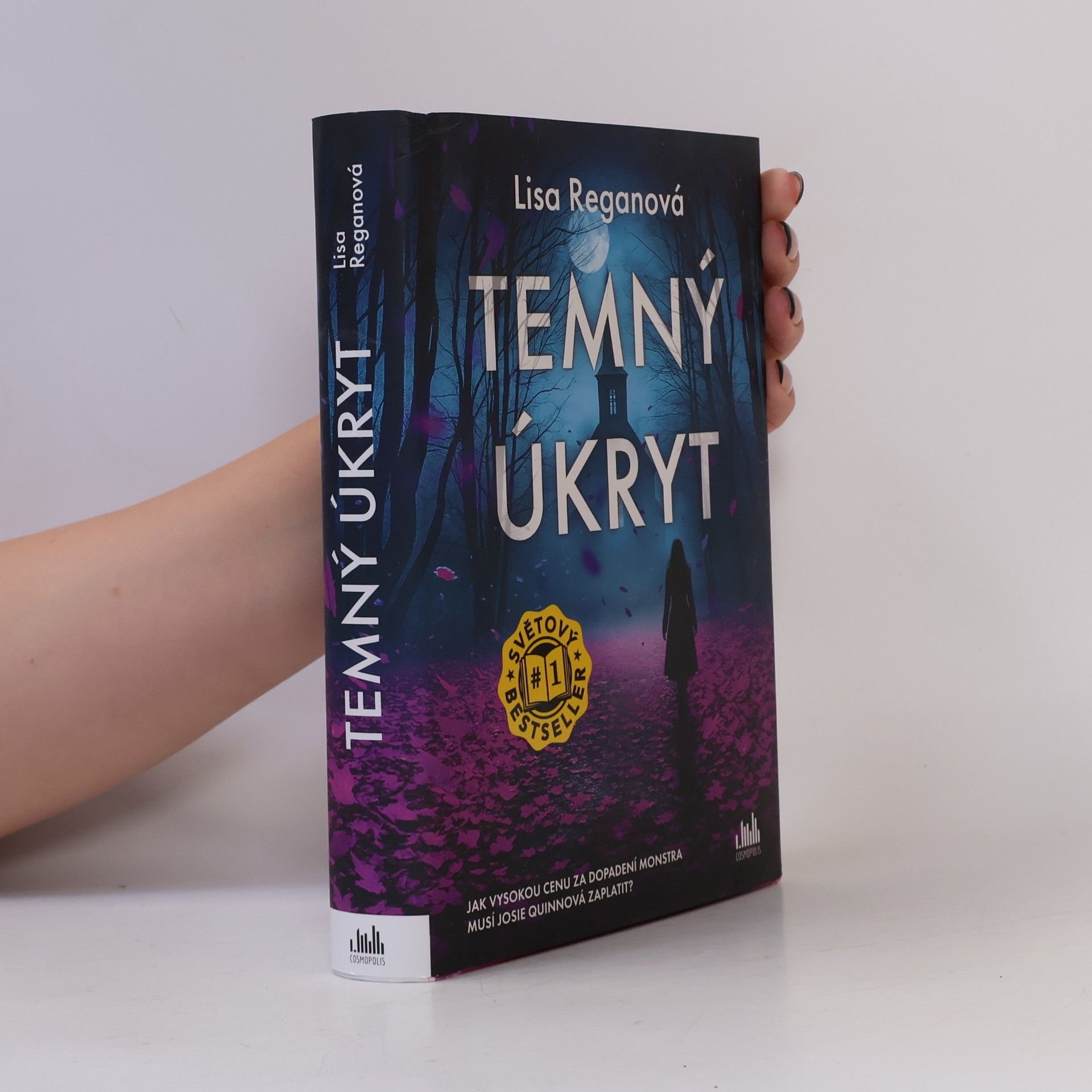 Lisa Regan Temný úkryt