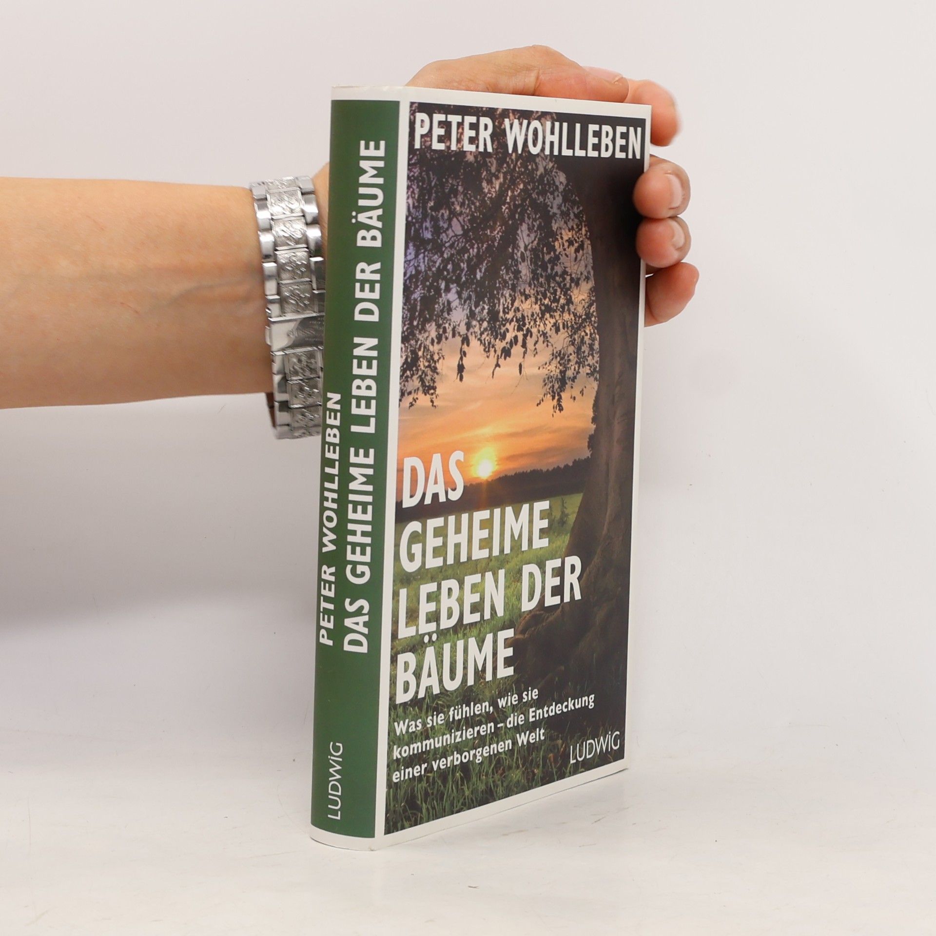 Das geheime Leben der Bäume