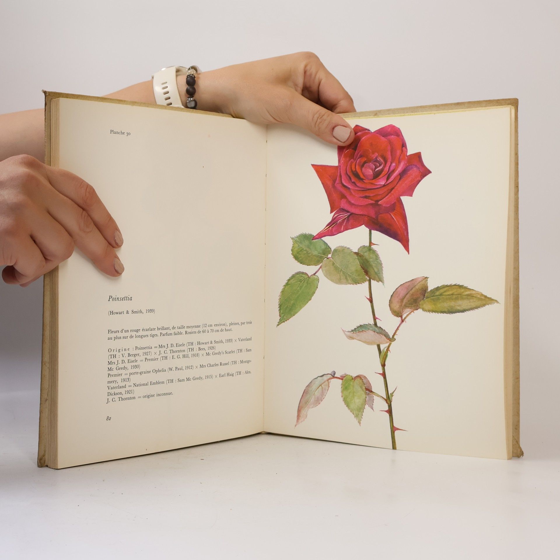Collectif d'auteurs Le Livre des Rose