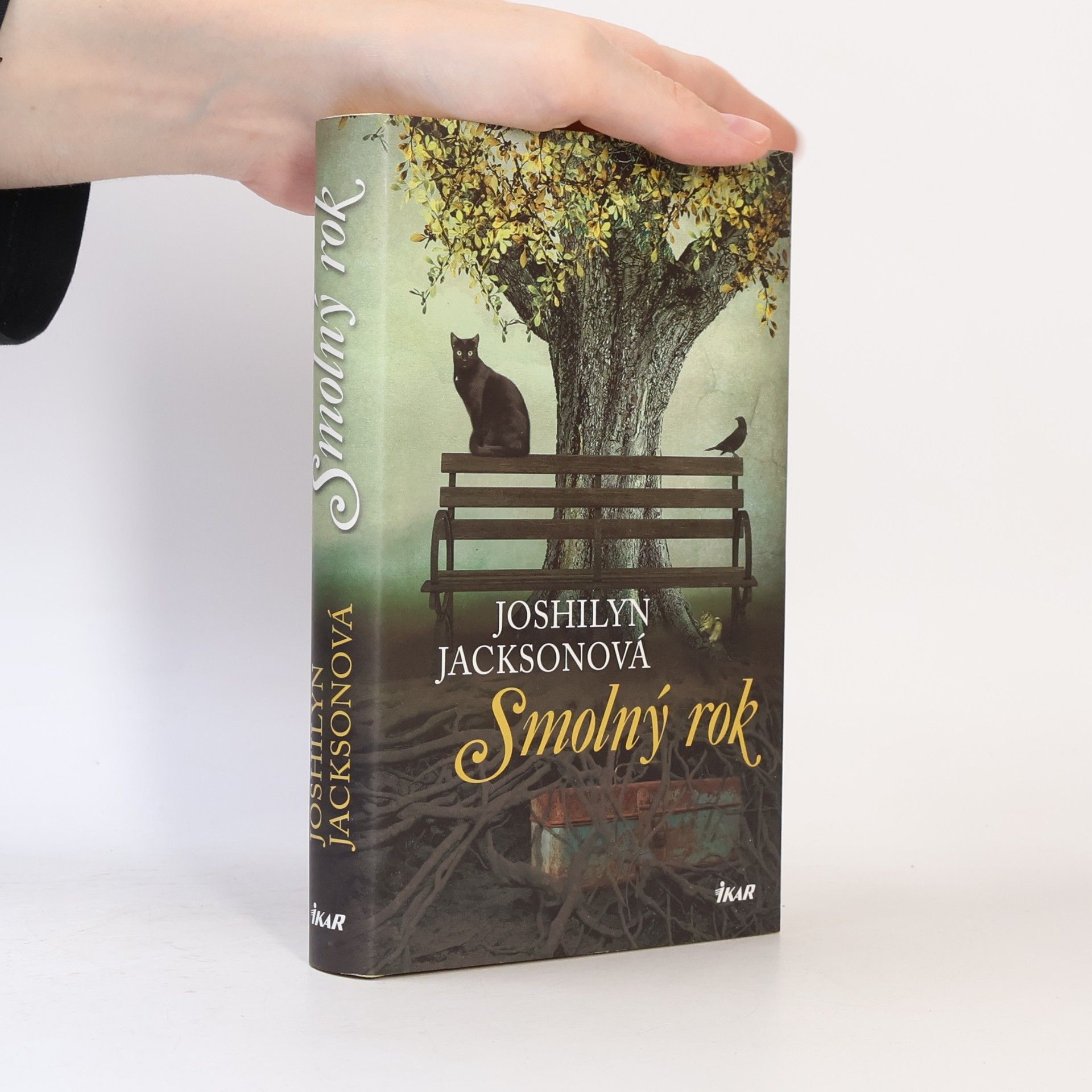 Joshilyn Jackson Smolný rok