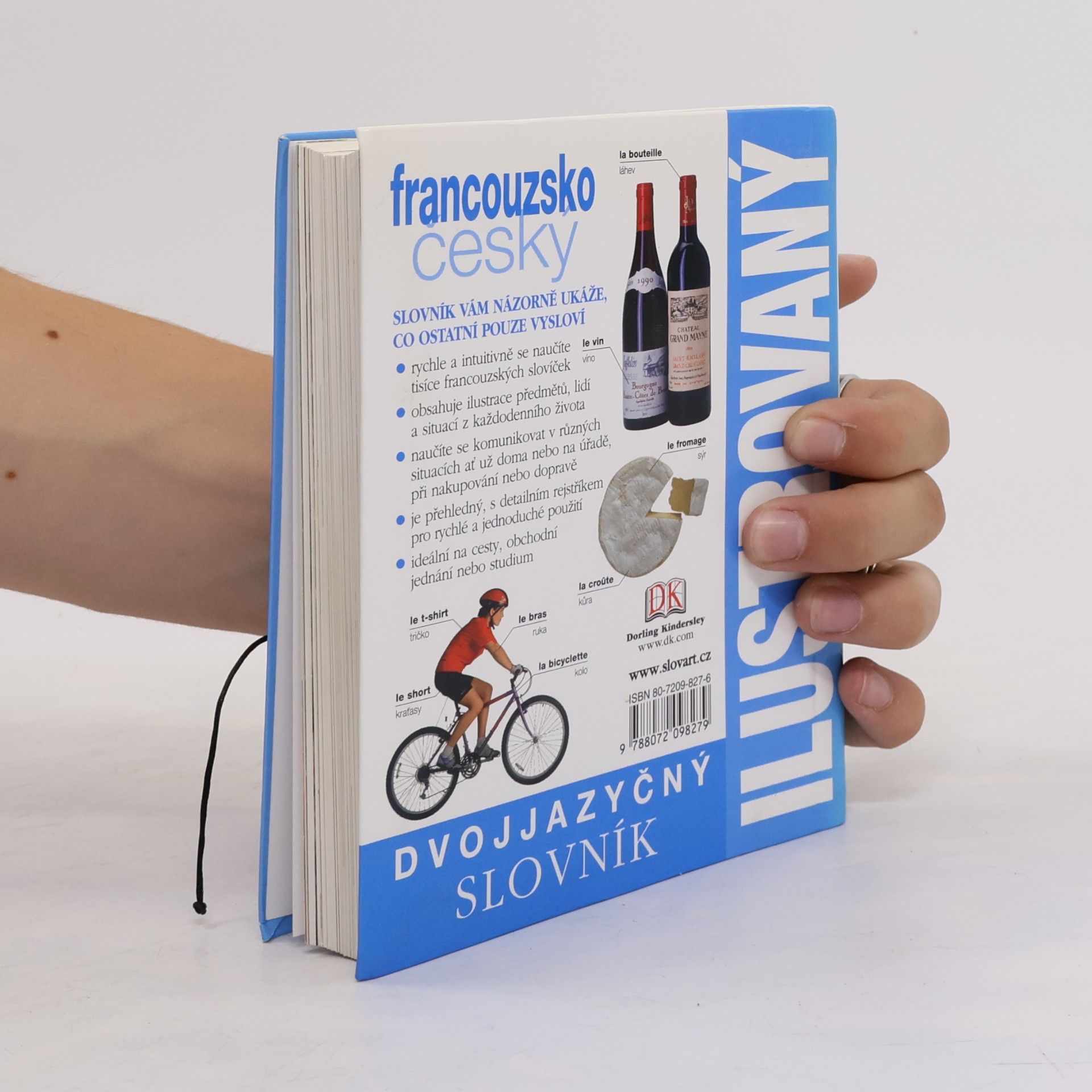 Autorenkollektiv Francouzsko-český ilustrovaný slovník