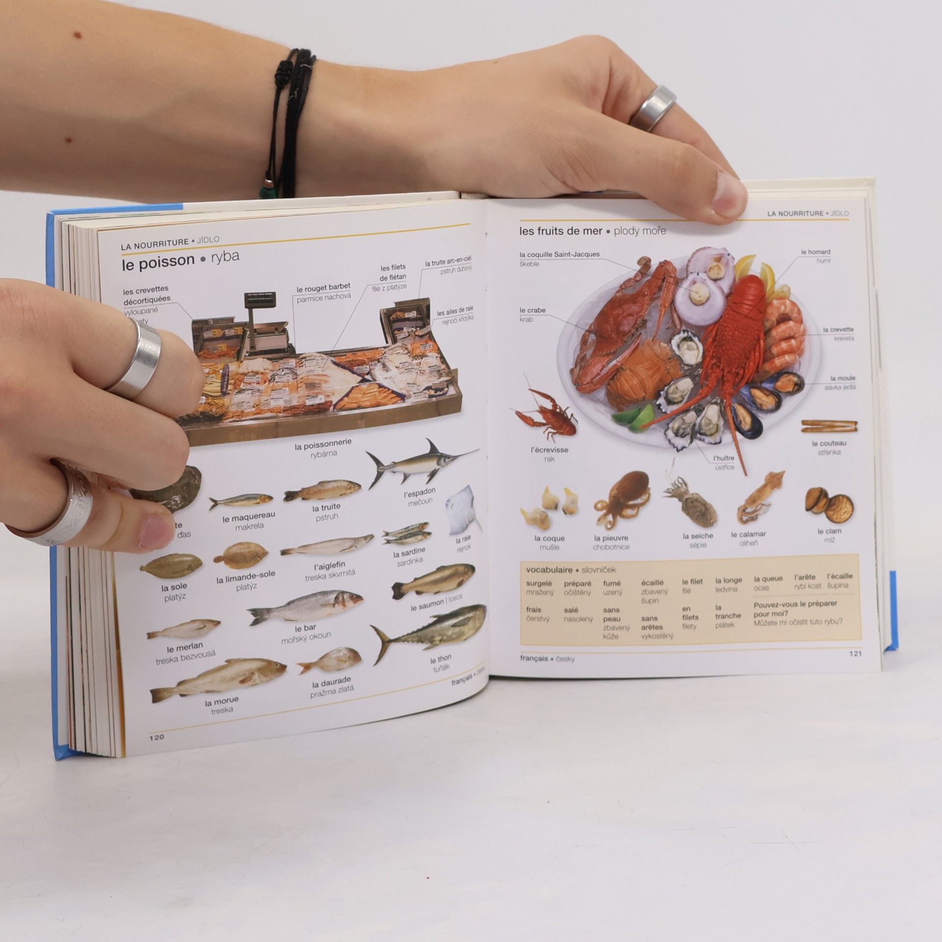 Autorenkollektiv Francouzsko-český ilustrovaný slovník
