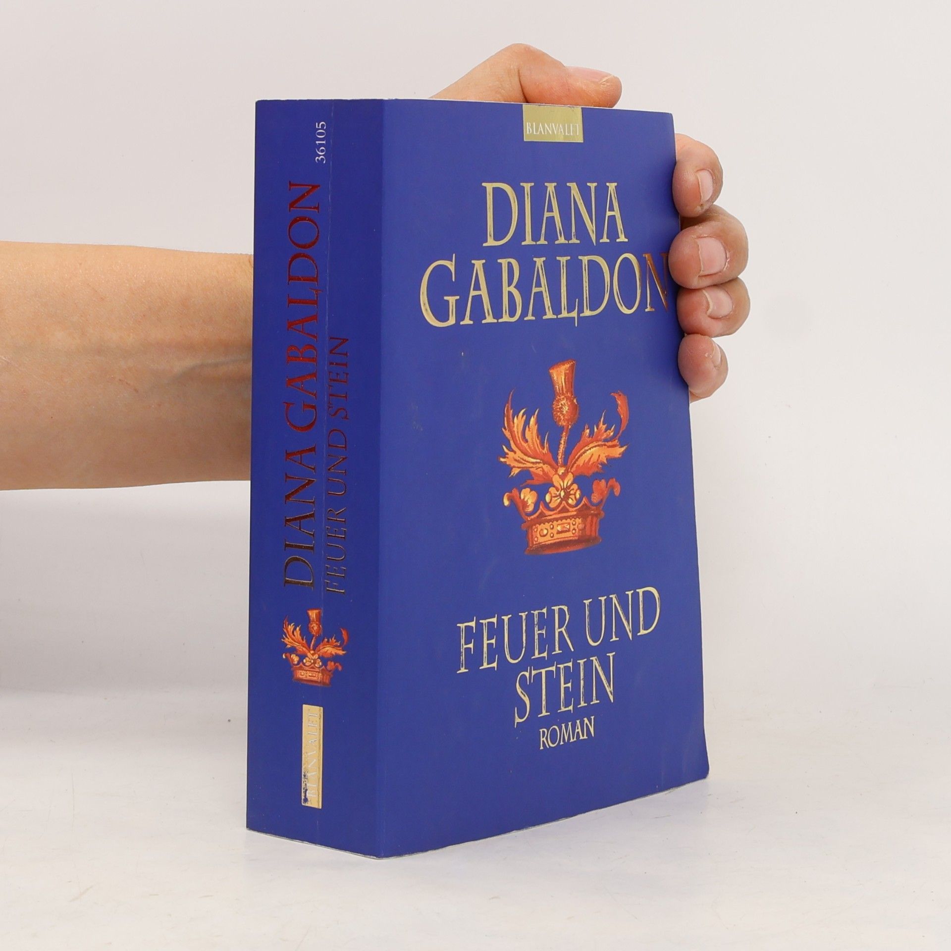 Diana Gabaldon Feuer und Stein