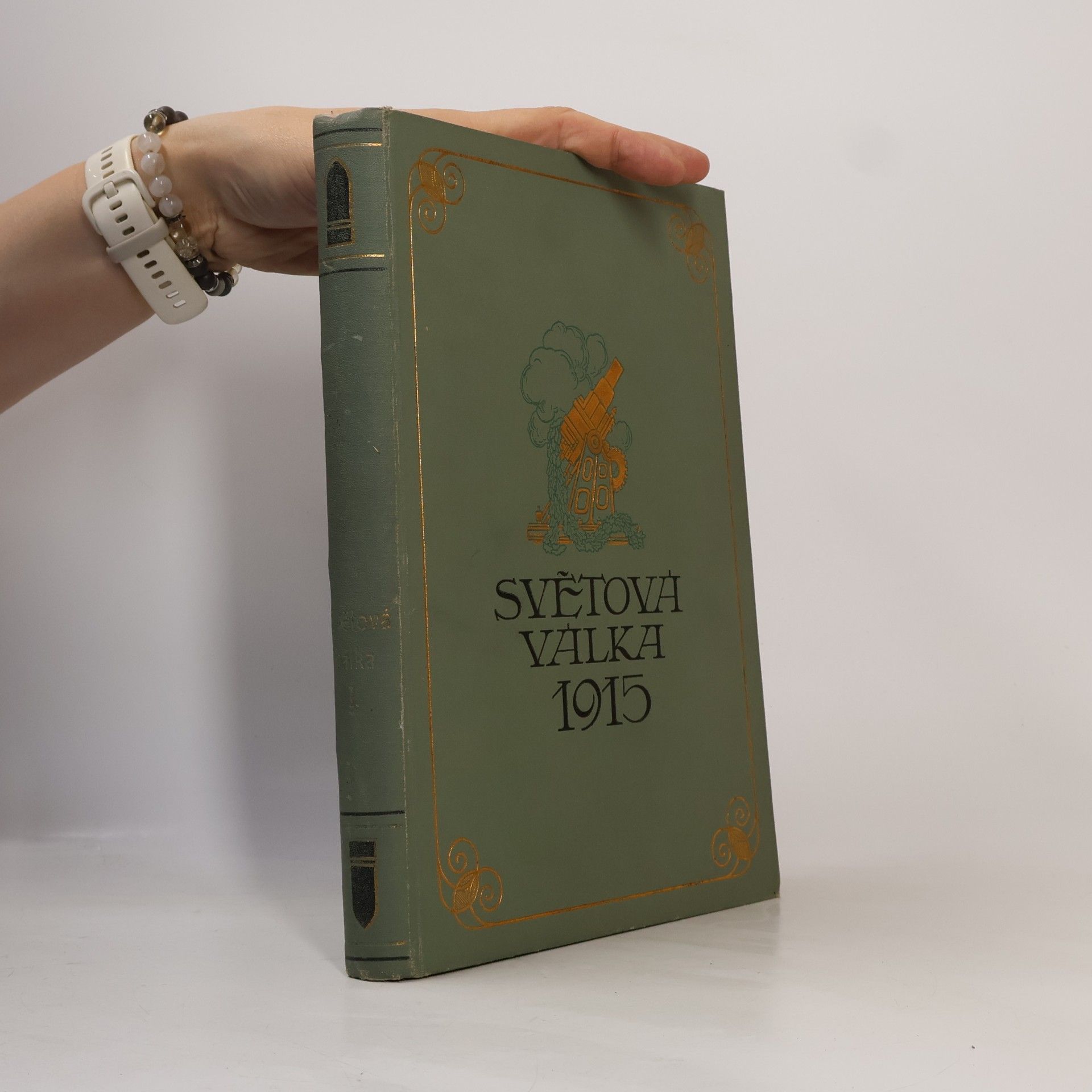 Autorenkollektiv Světová válka 1914-1915 slovem i obrazem, 1. díl