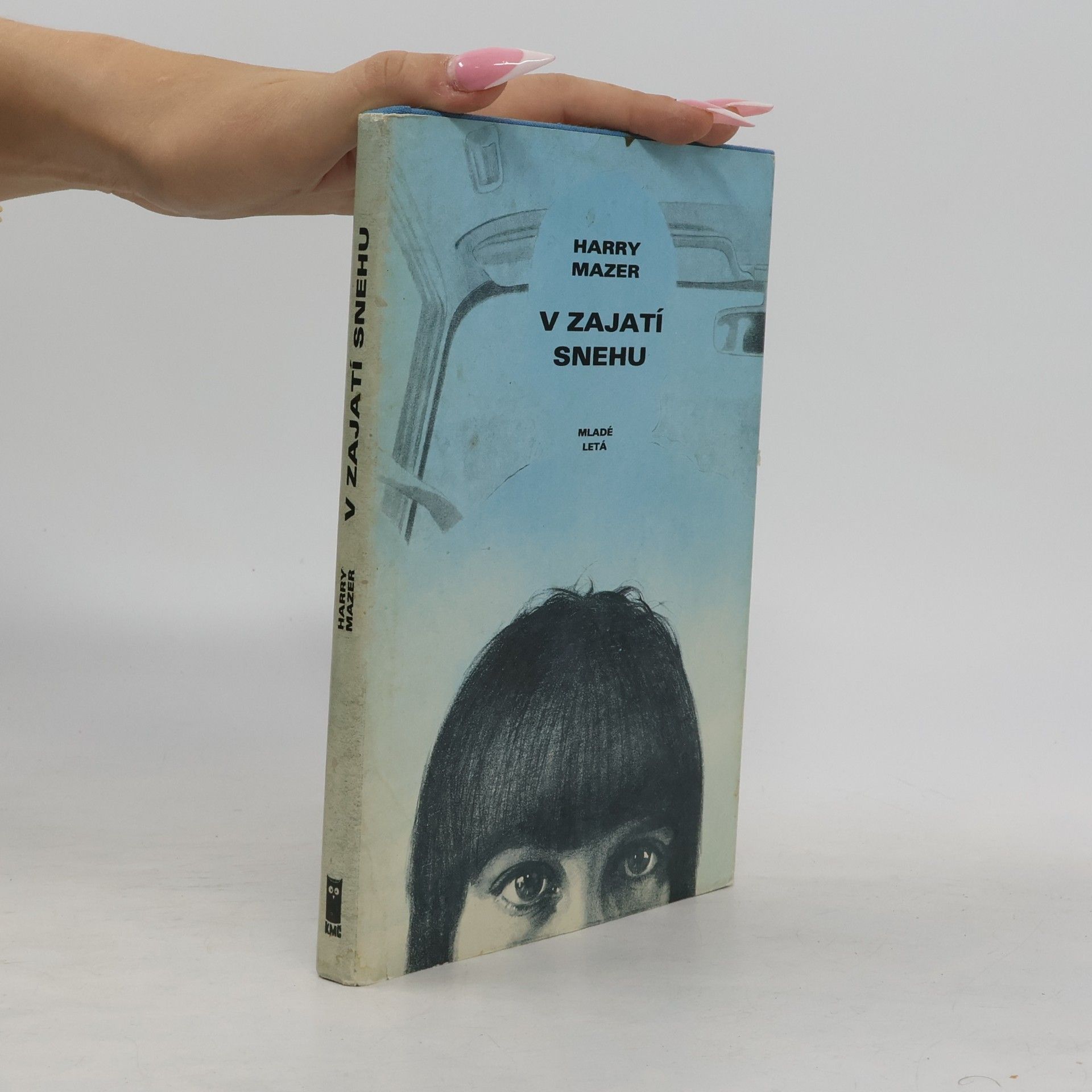 Harry Mazer V zajatí snehu