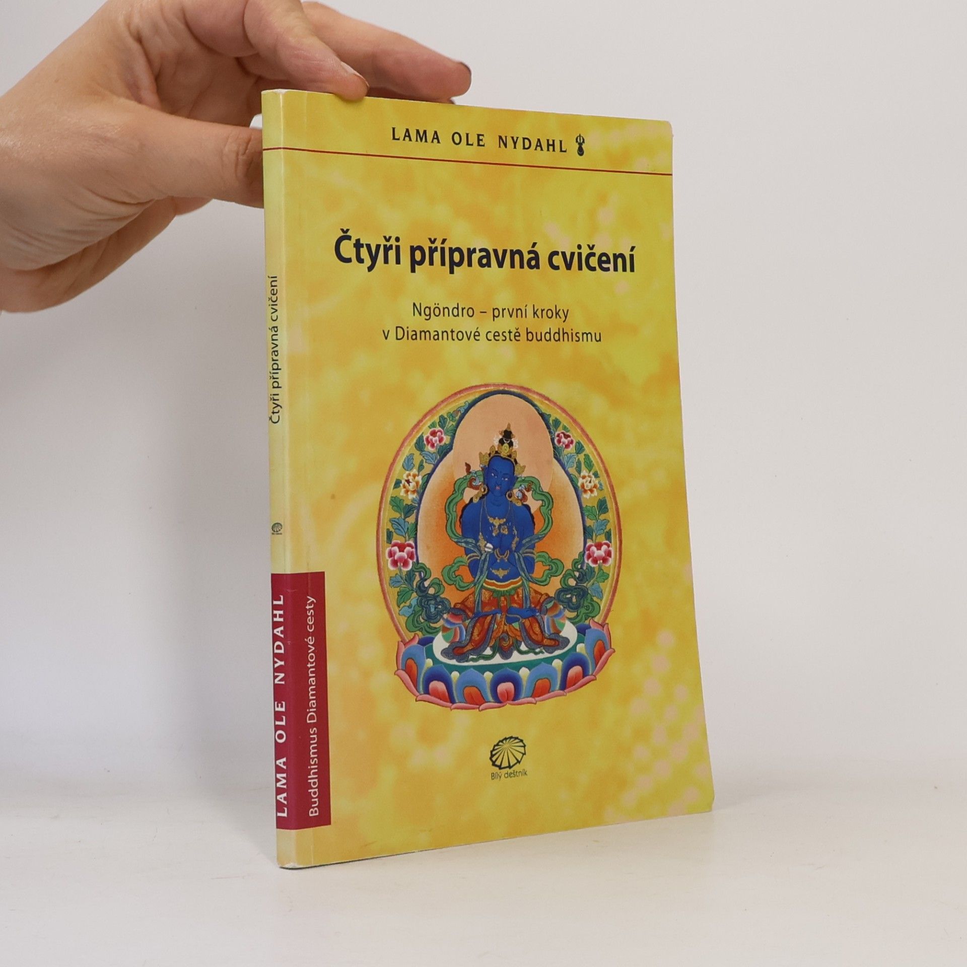 Ole Nydahl Čtyři přípravná cvičení