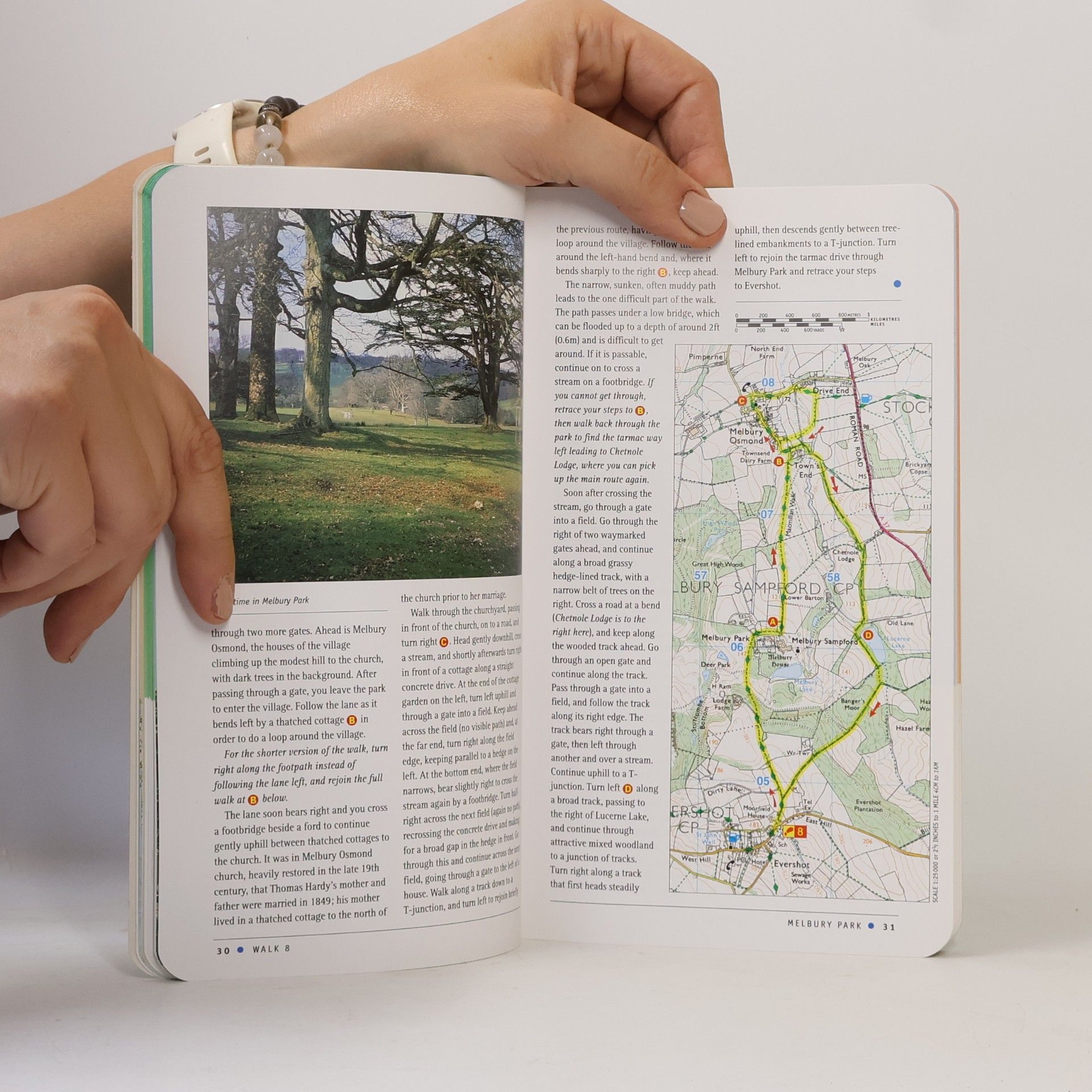 Condduit Brian Pathfinder Guide - 11: Dorset Walks