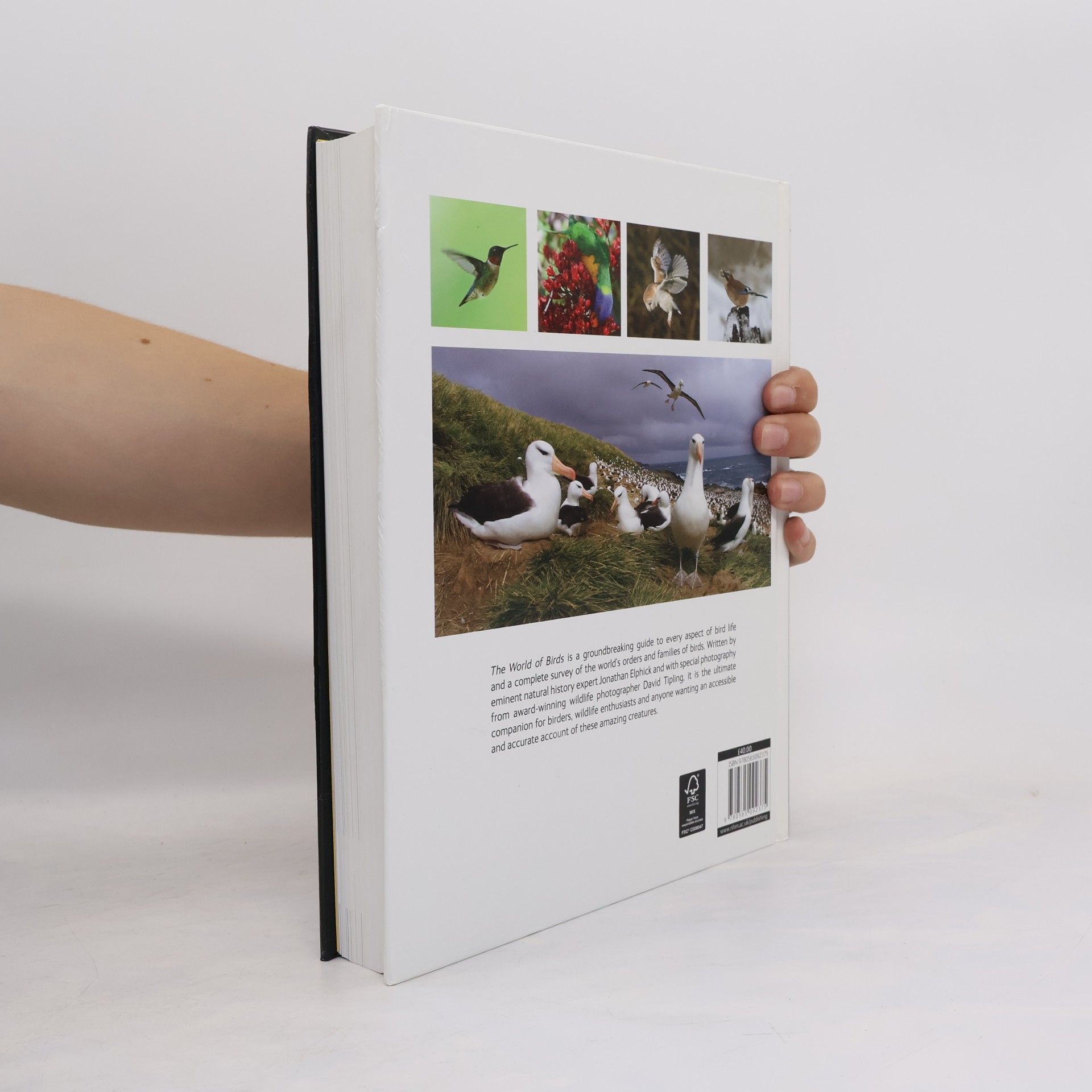 Jonathan Elphick The World of Birds