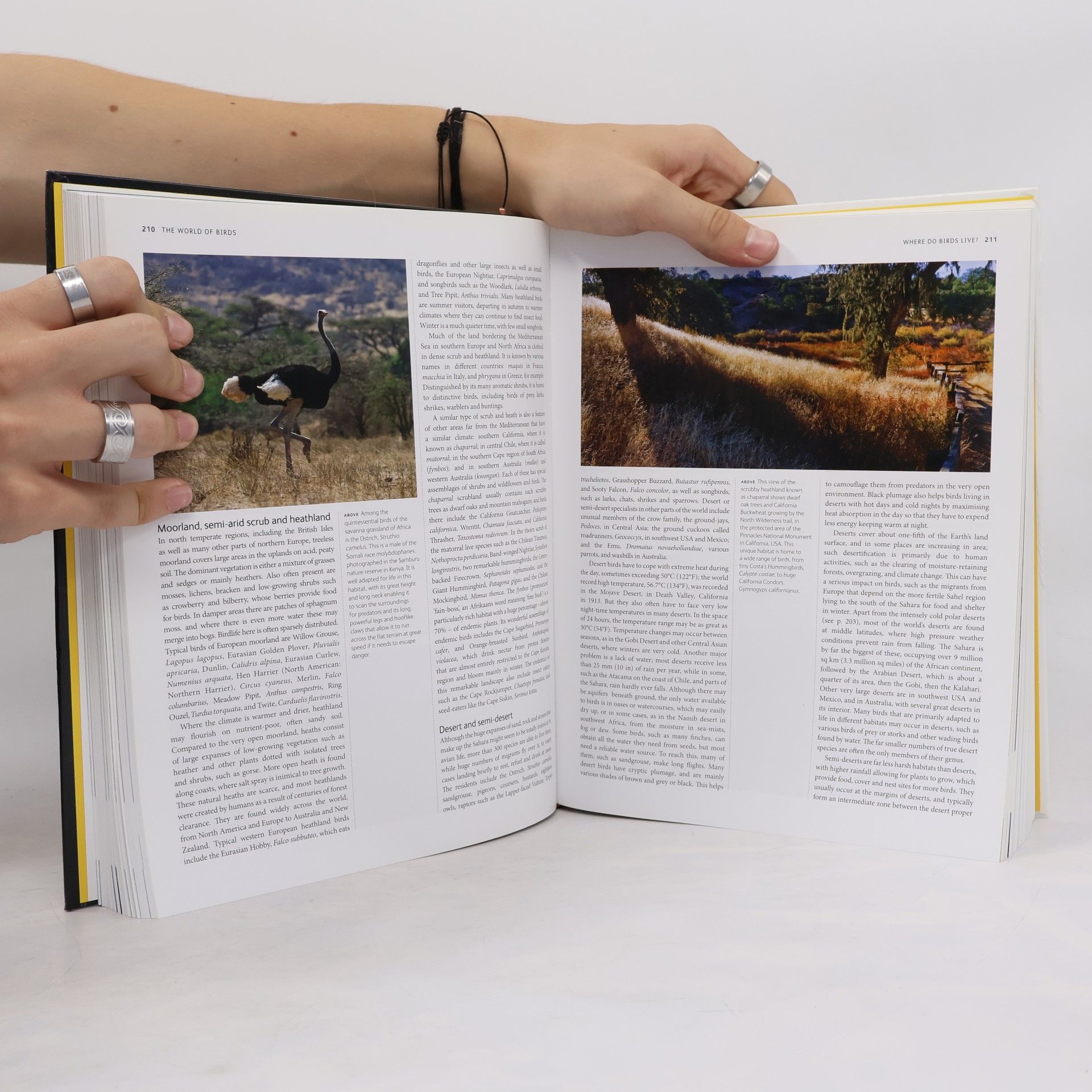 Jonathan Elphick The World of Birds