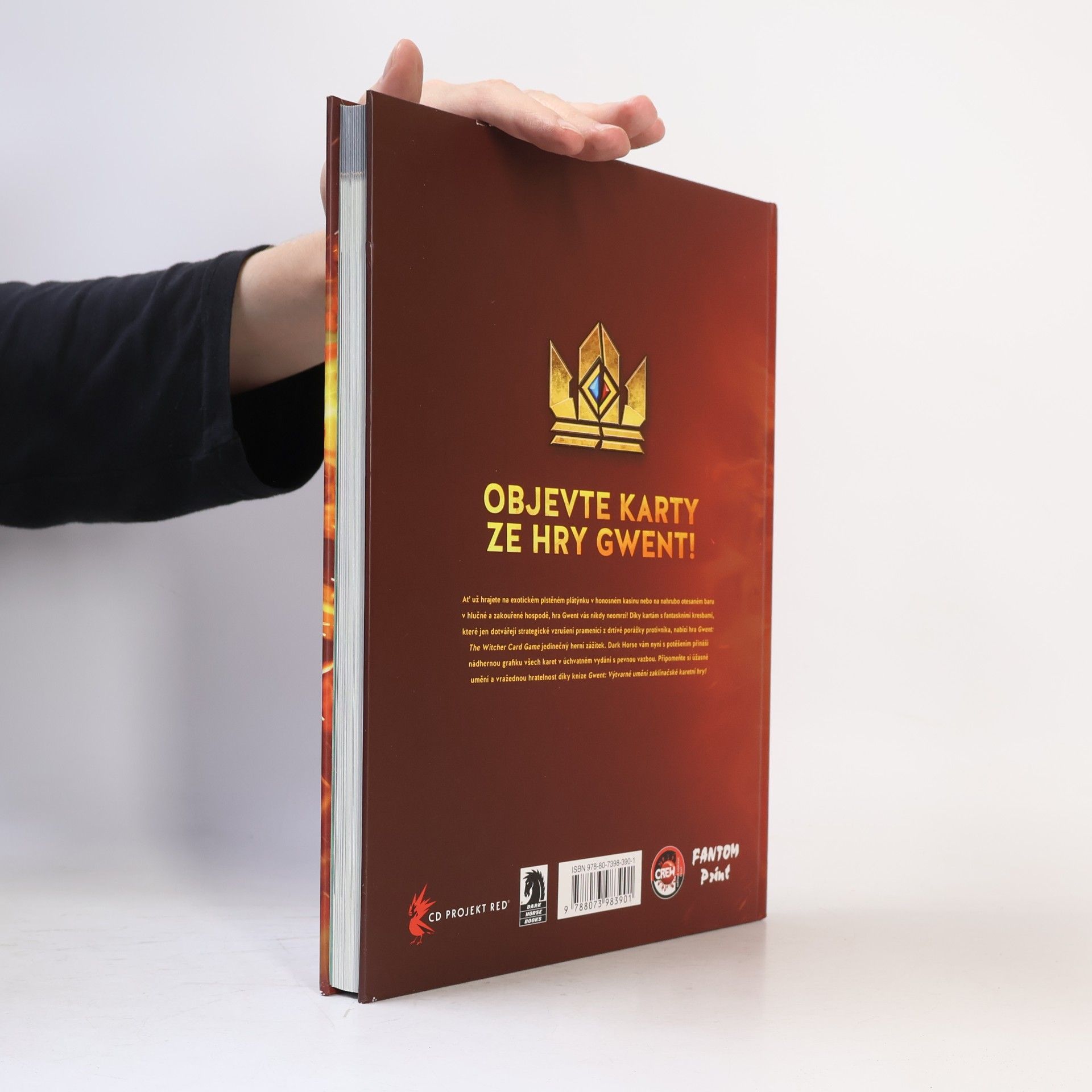 Filip Ženíšek Gwent: Výtvarné umění zaklínačské karetní hry