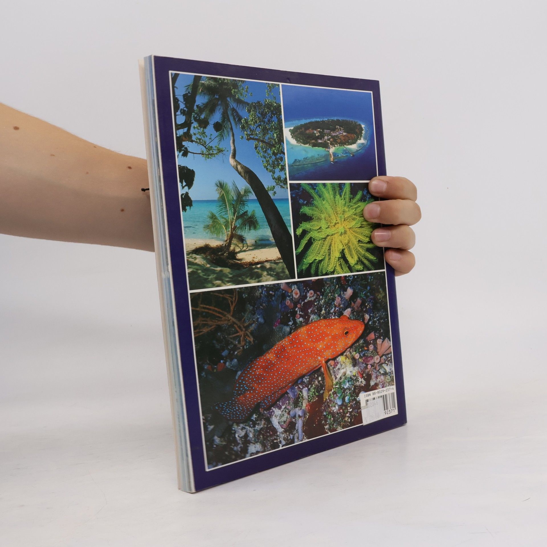 Giuliano Valdes Classici per il turismo: The Wonderful World of the Maldives - English Edition