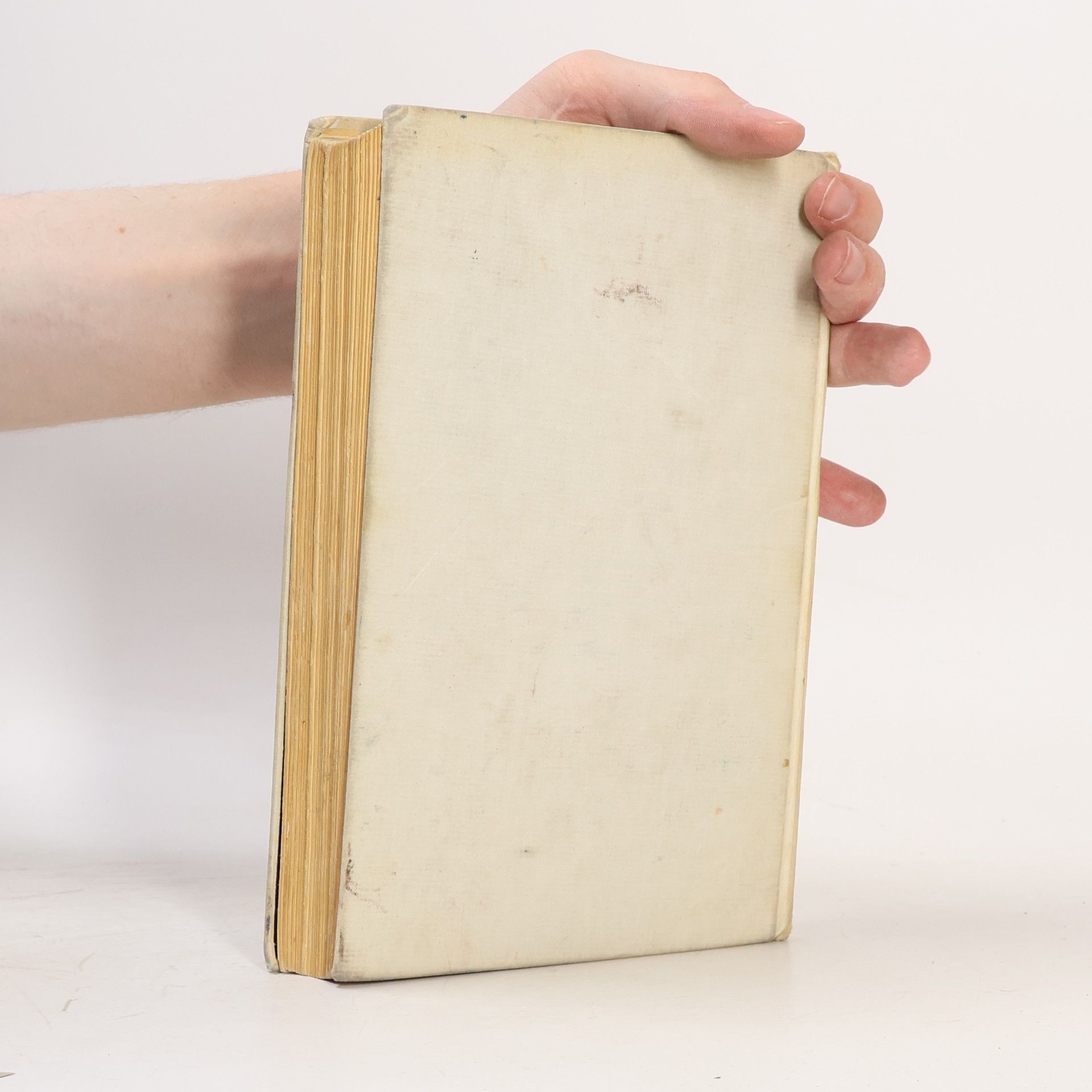 Erich Maria Remarque Na západní frontě klid / Cesta zpátky