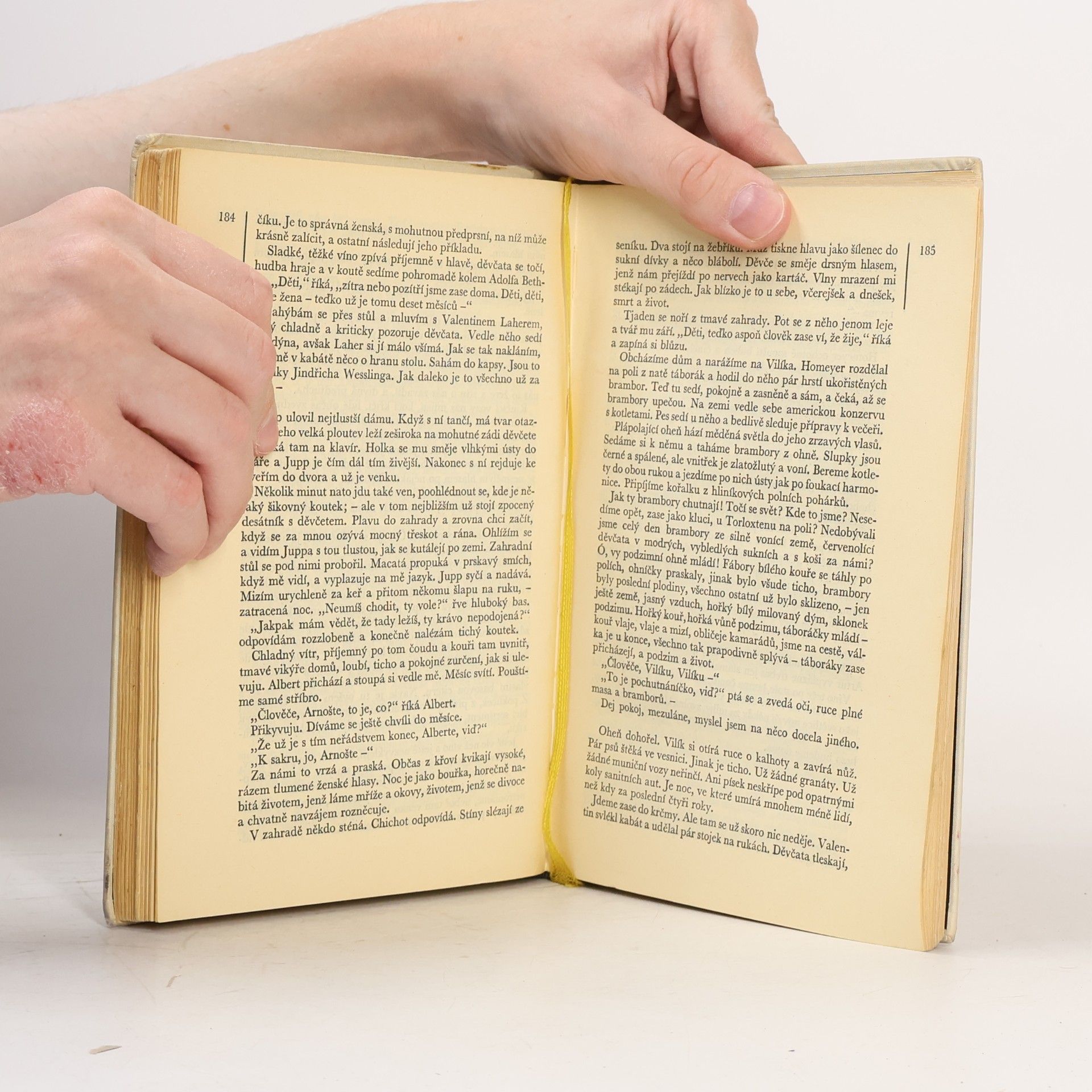 Erich Maria Remarque Na západní frontě klid / Cesta zpátky