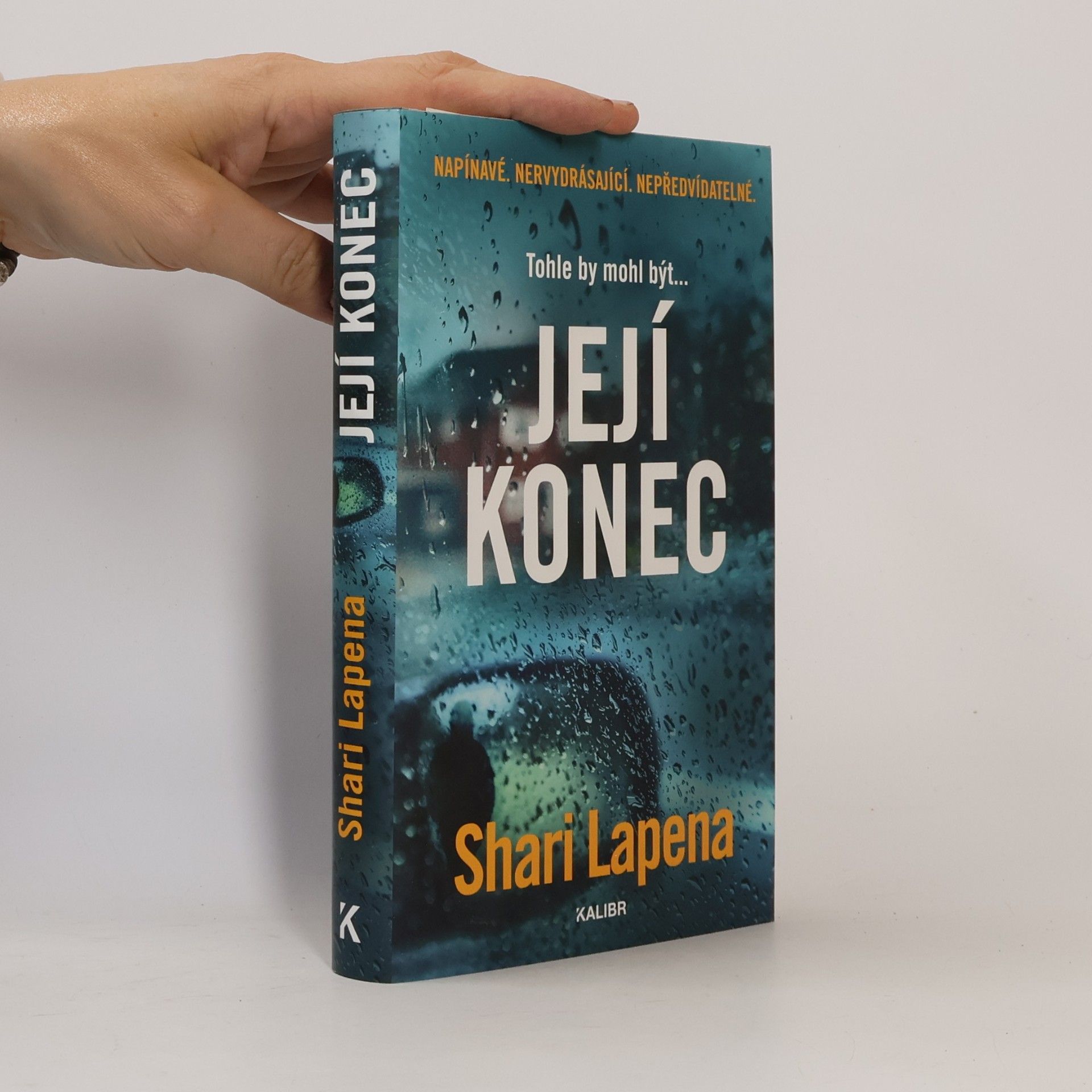 Shari Lapena Její konec
