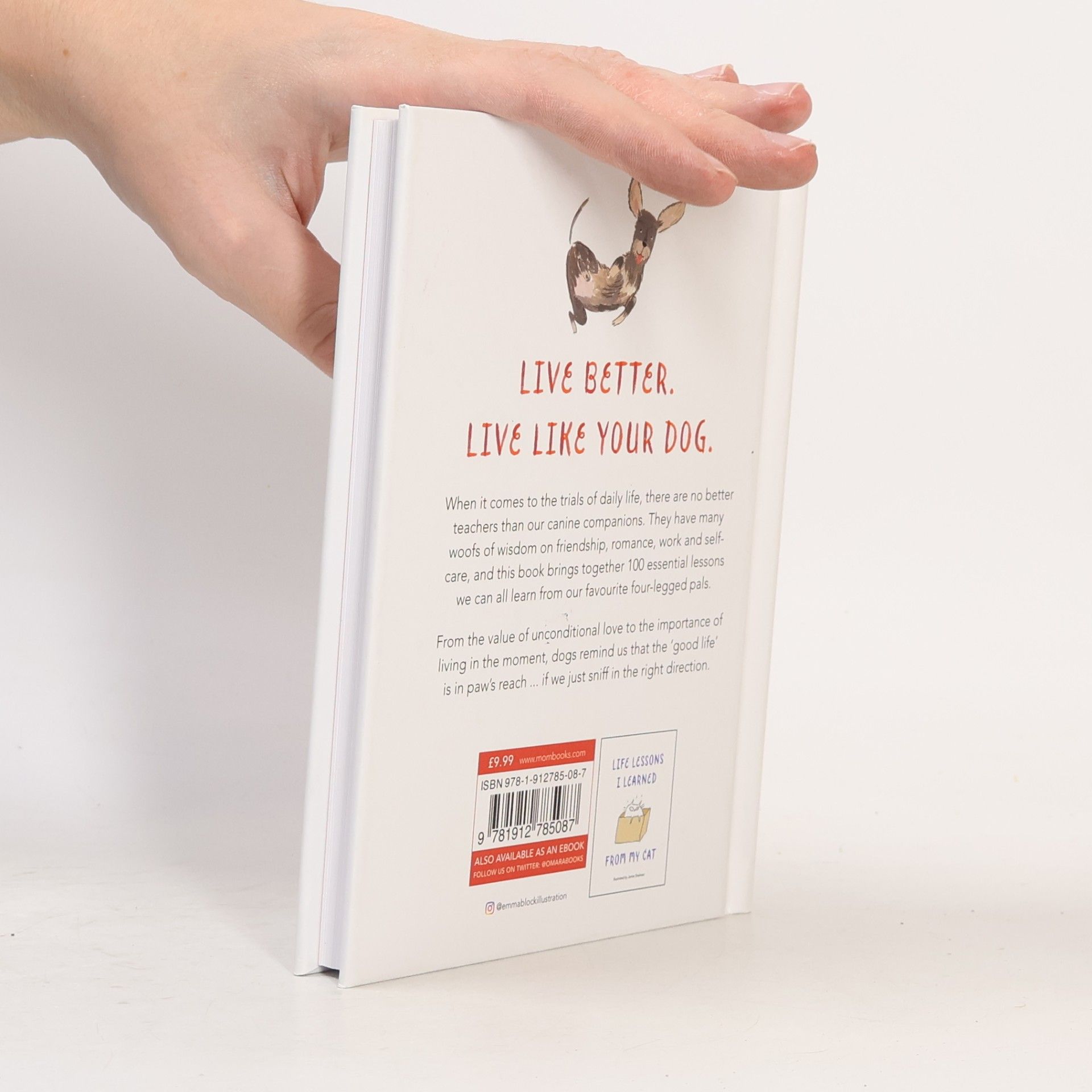 Emma Block Life Lessons I Learned from My Dog