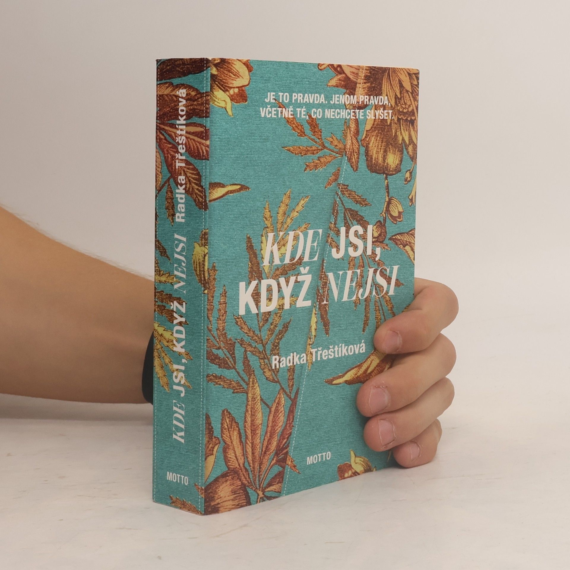 Radka Třeštíková Kde jsi, když nejsi
