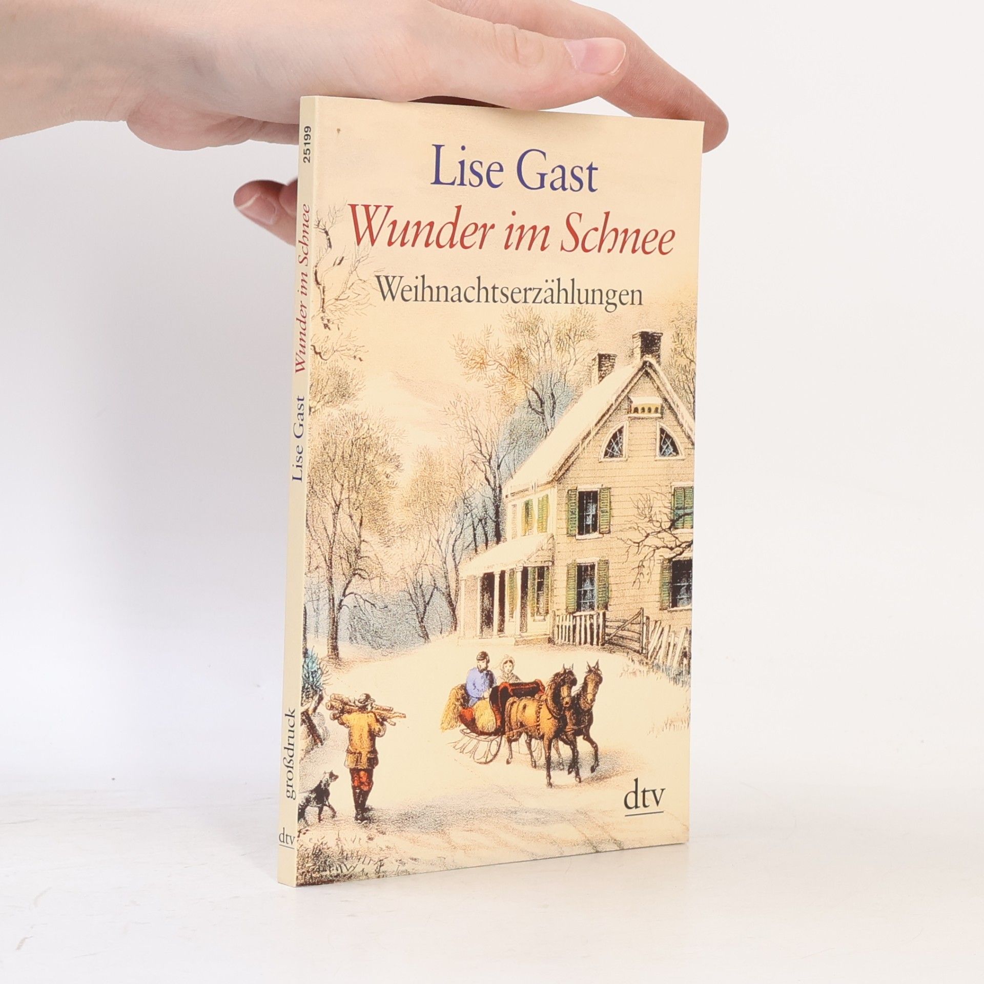 Lise Gast Wunder im Schnee
