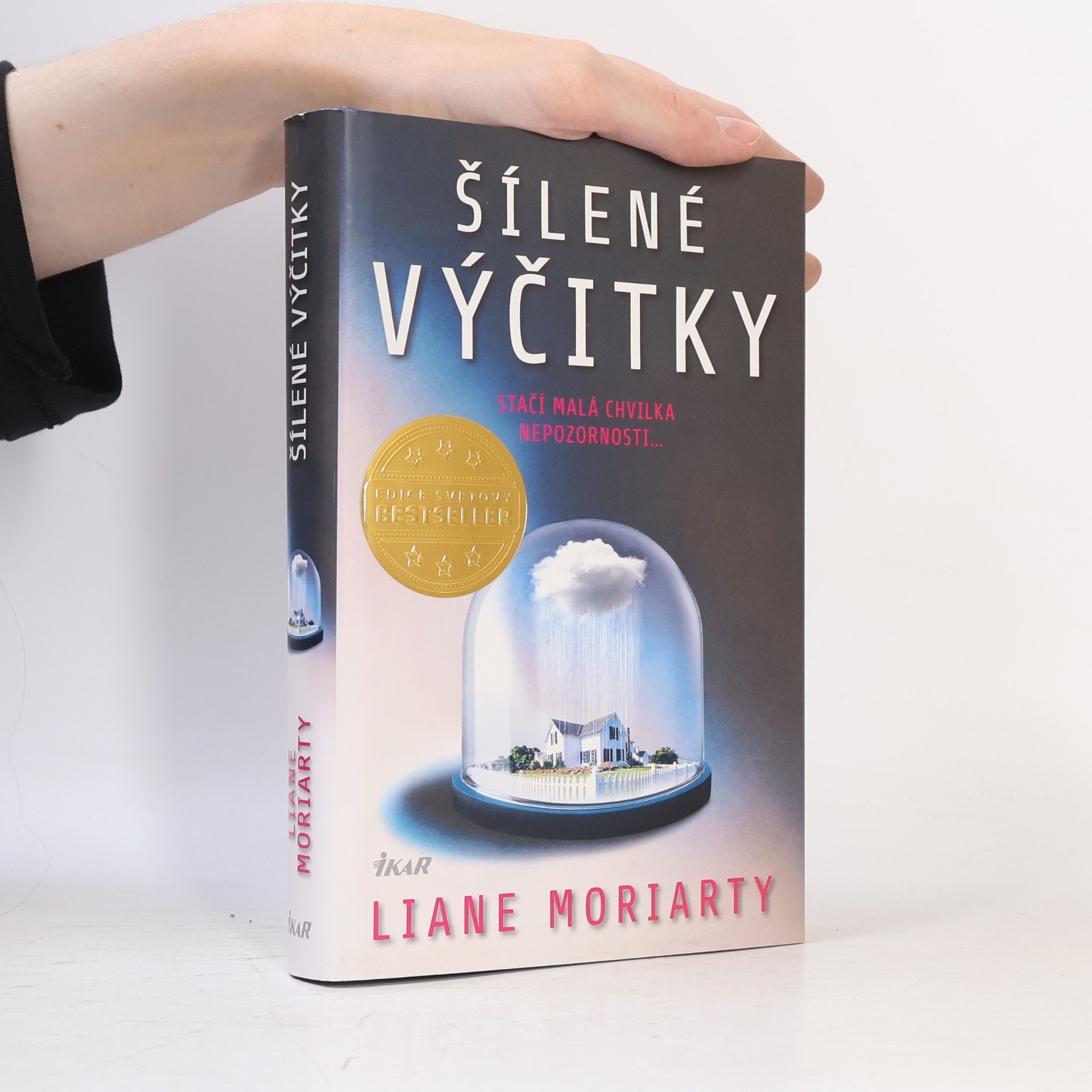 Liane Moriarty Šílené výčitky
