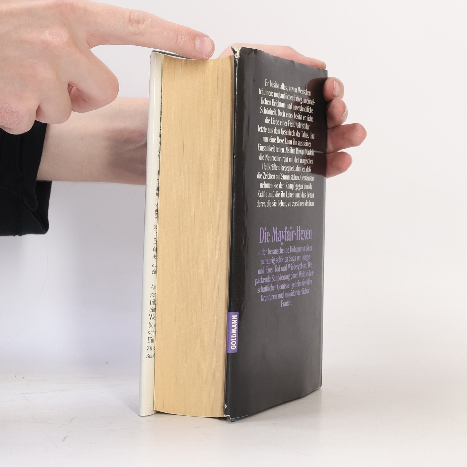 Anne Rice Die Mayfair-Hexen