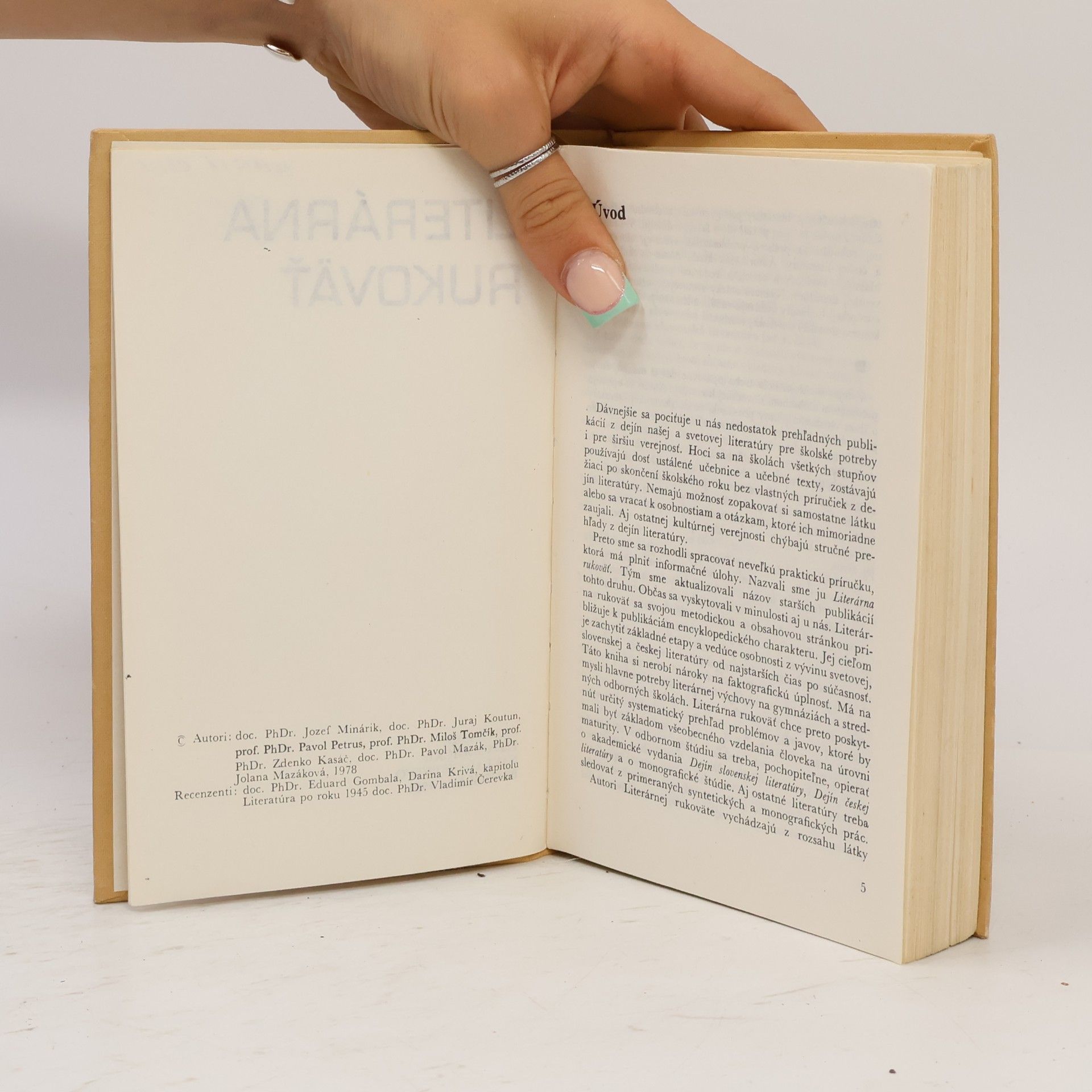 Autorenkollektiv Literárna rukoväť