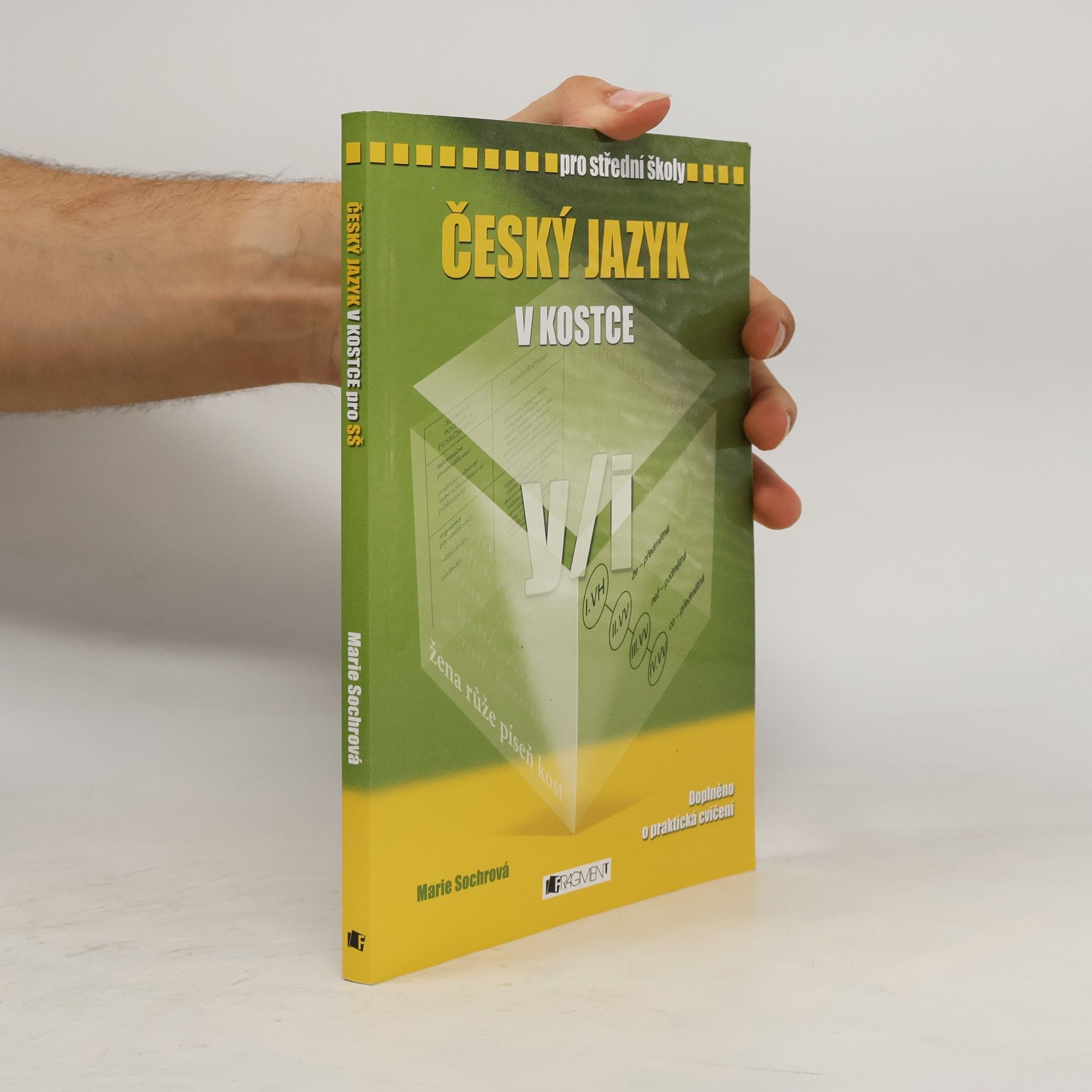 Marie Sochrová Český jazyk v kostce : pro střední školy