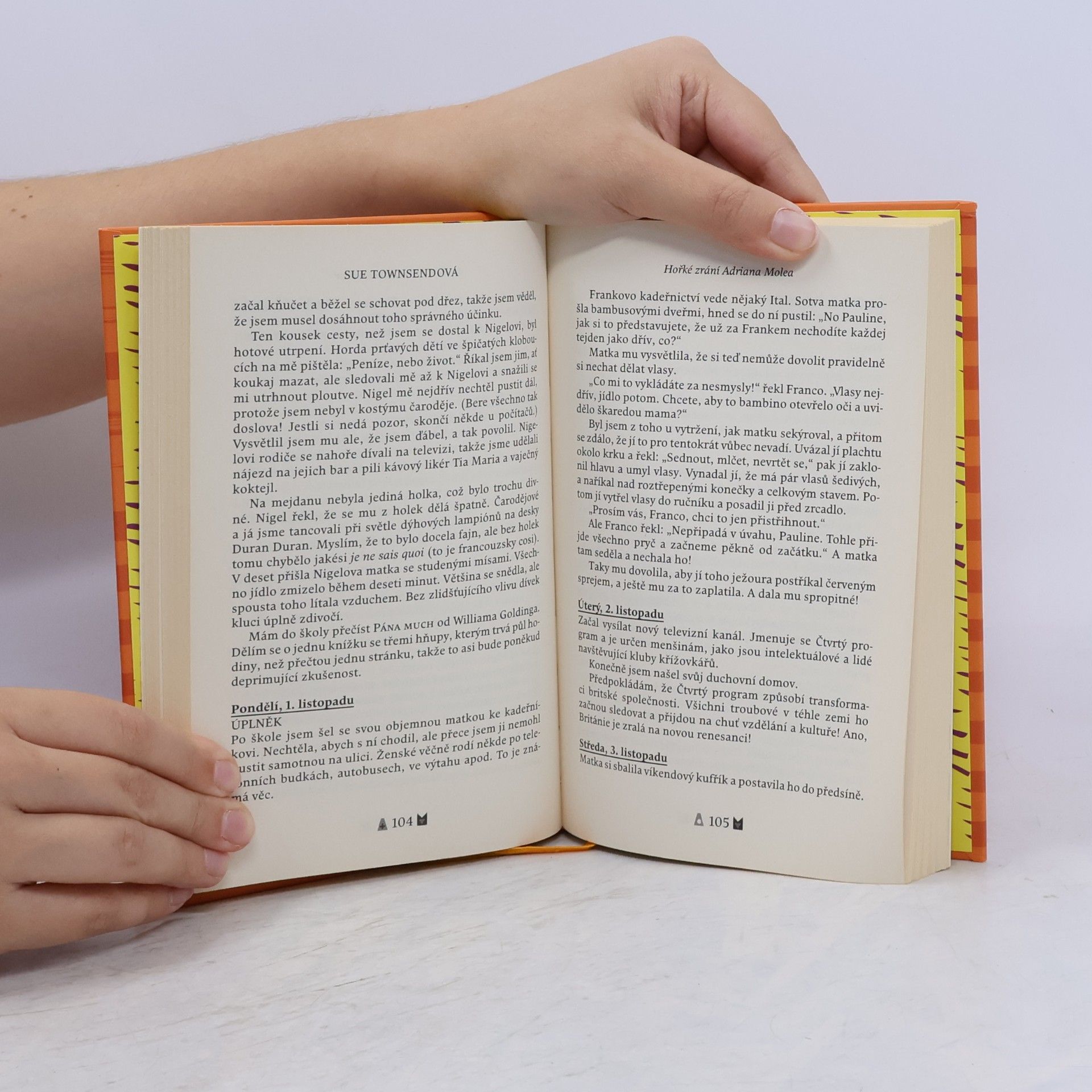 Sue Townsend Hořké zrání Adriana Molea
