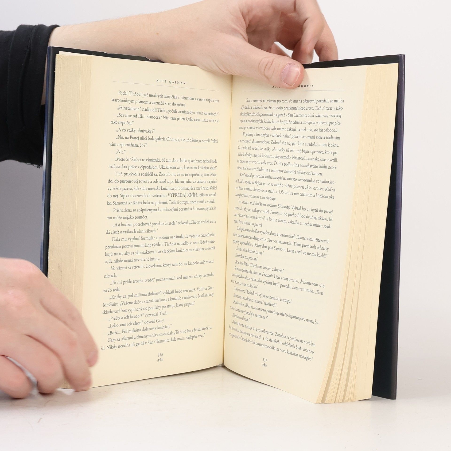 Neil Gaiman Americkí bohovia