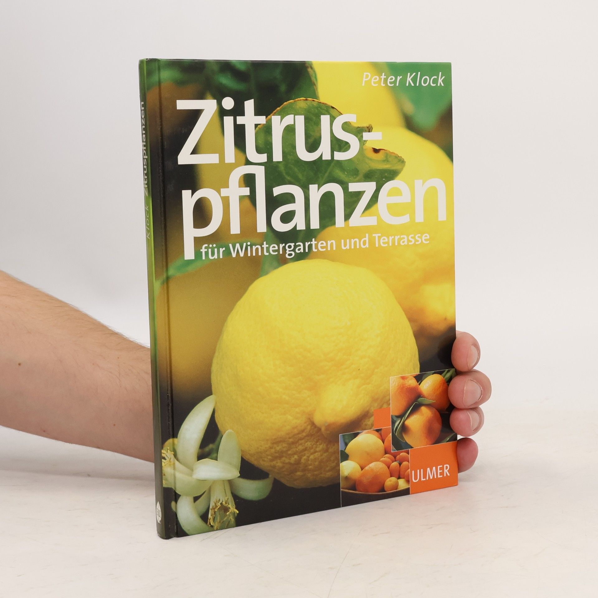 Peter Klock Zitruspflanzen für Wintergarten und Terrasse