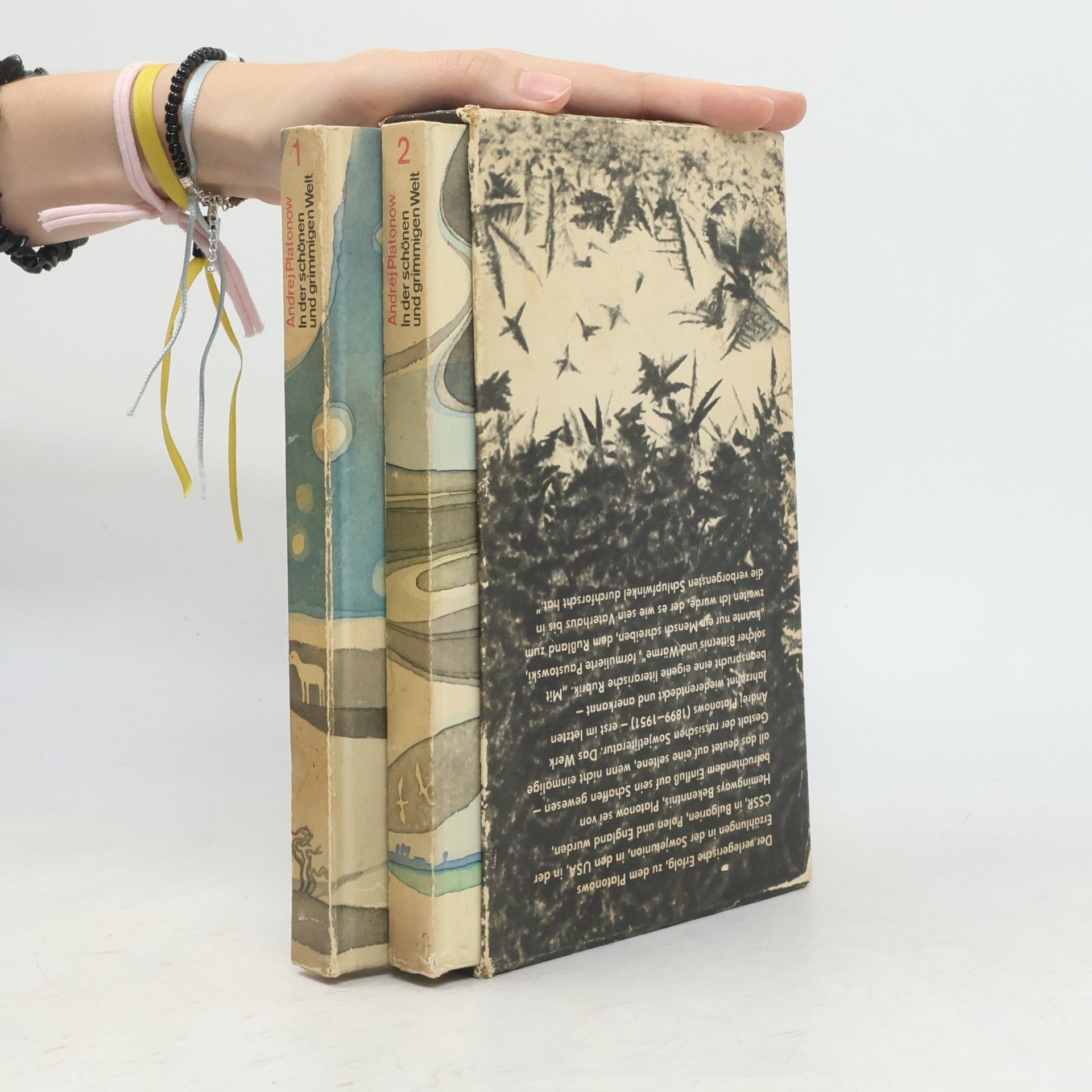 Autorenkollektiv In der schönen und grimmigen Welt 1-2