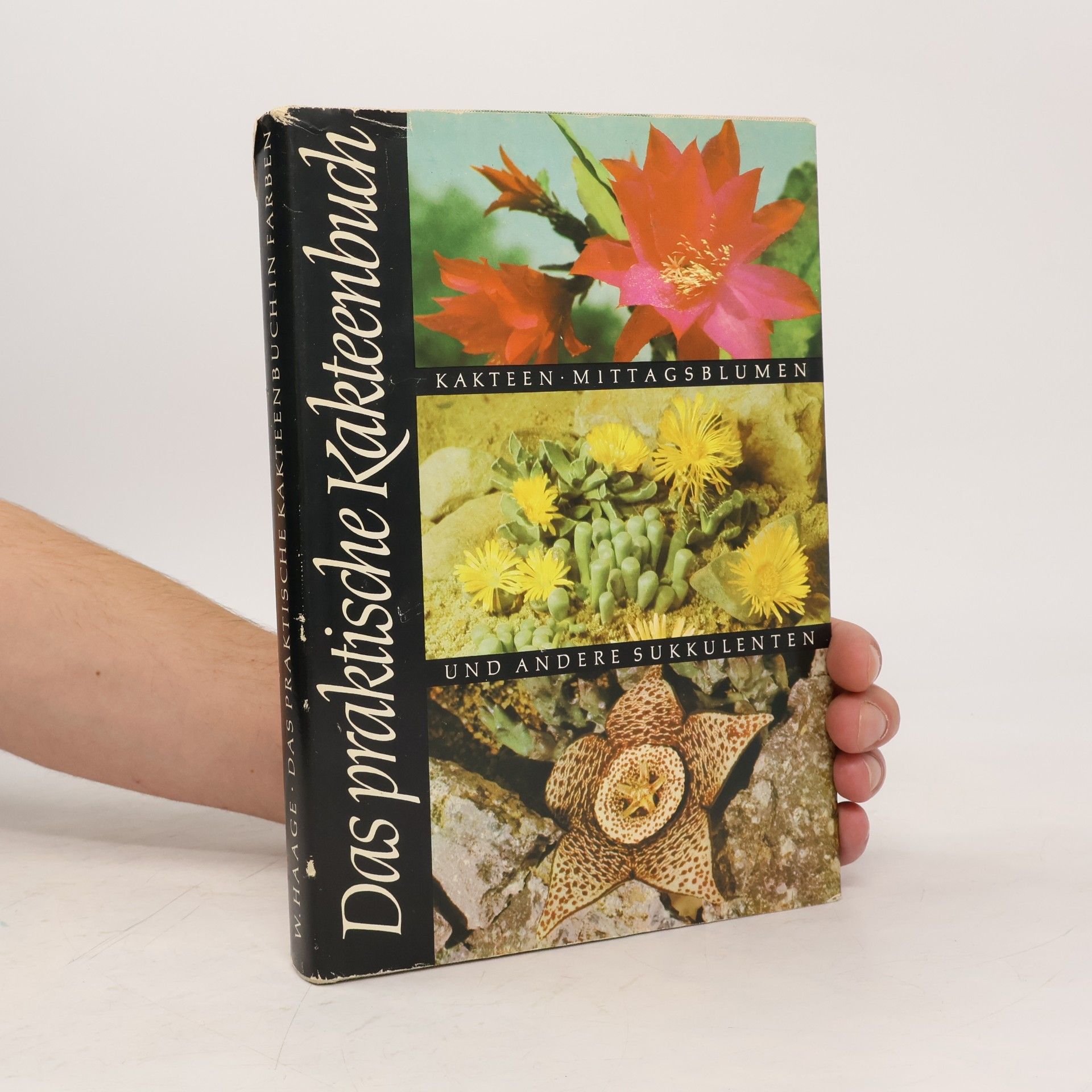 W. Haage Das praktische Kakteenbuch
