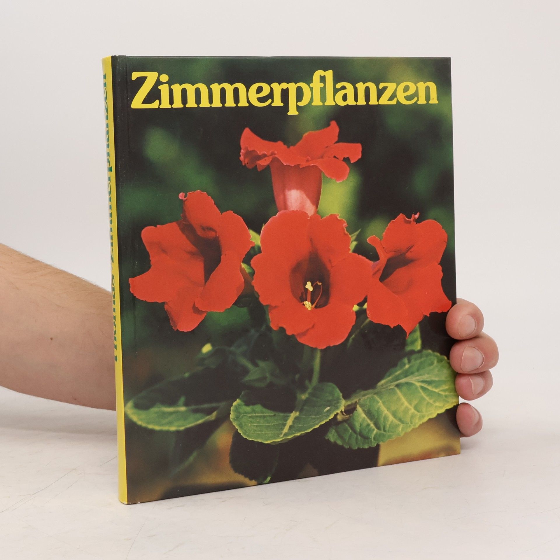 Editha Thomas Zimmerpflanzen