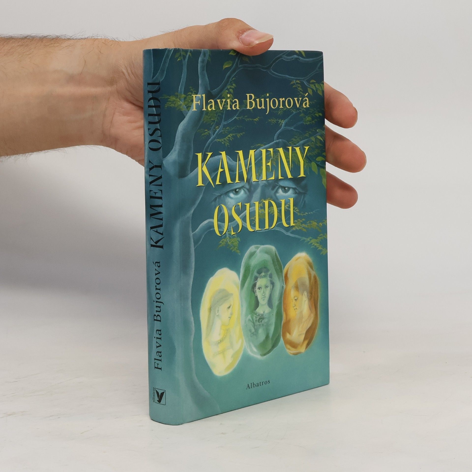 Flavia Bujor Kameny osudu