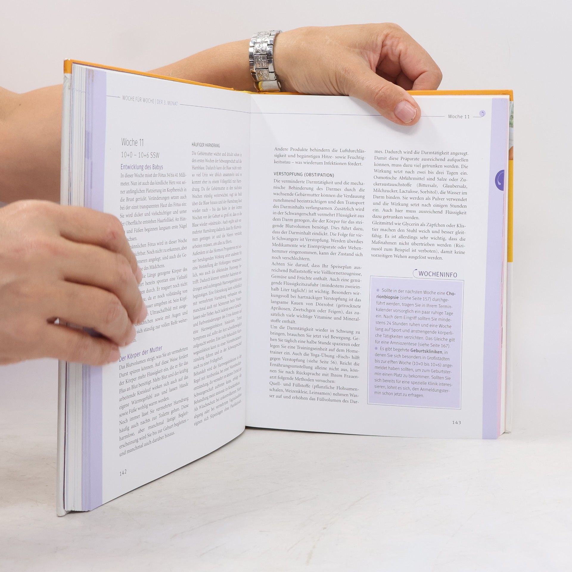 Annette Nolden-Thommen Das große Buch zur Schwangerschaft