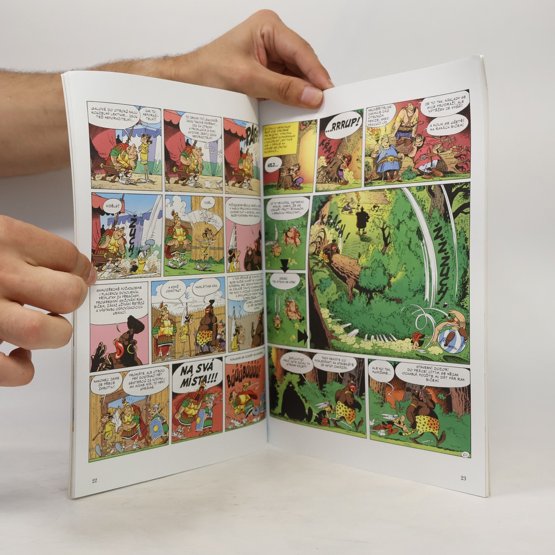 René Goscinny Asterix a sídliště bohů