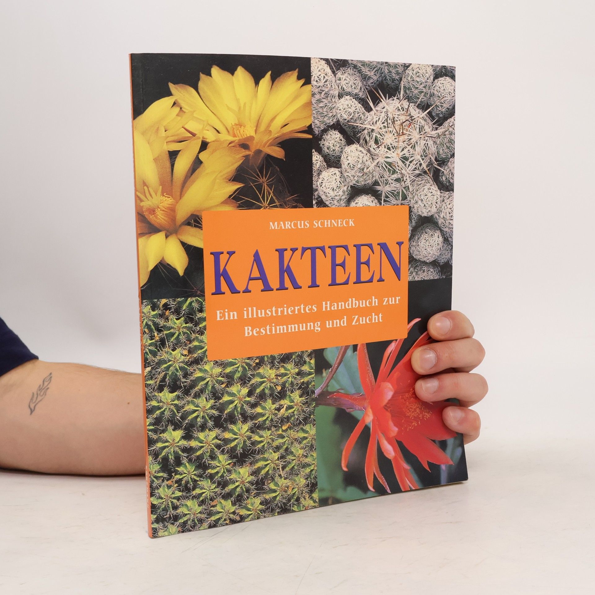 Marcus Schneck Kakteen